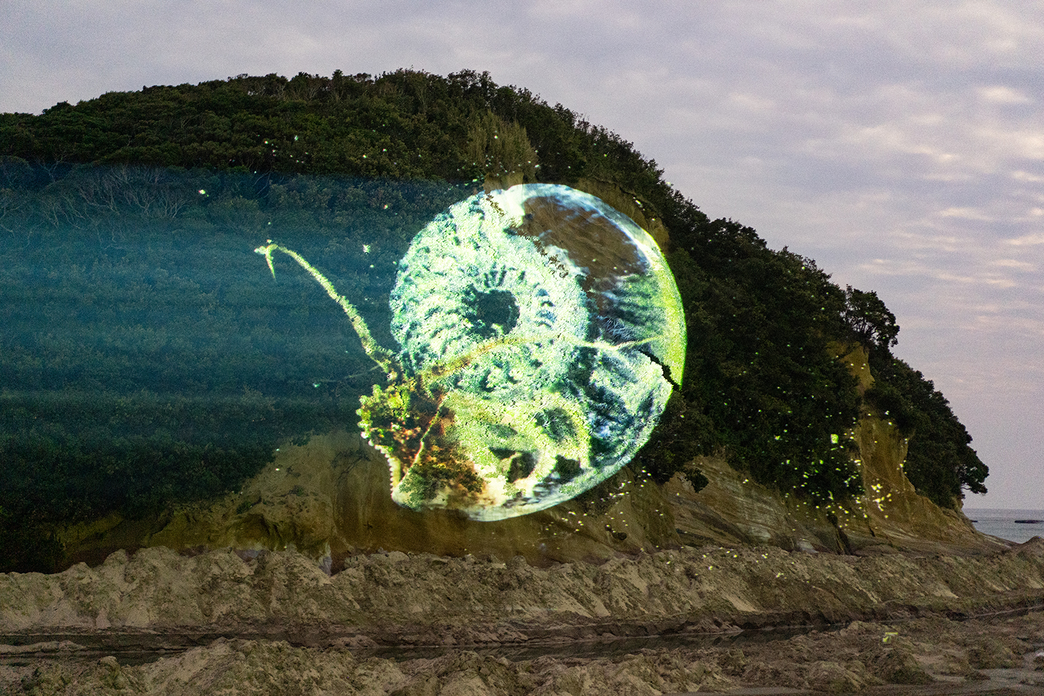 Outdoor screening of AKI INOMATA “Think Evolution #1 : Kiku-ishi(Ammonite)”