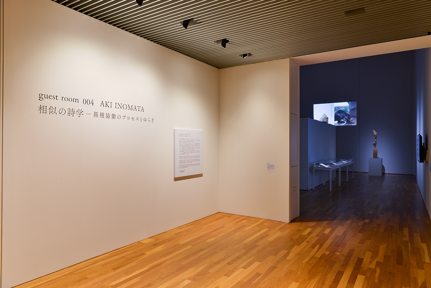 Installation view of Solo Exhibition “guest room 004 AKI INOMATA Poetics of Analogy: The Process of Collaboration with Different Species”