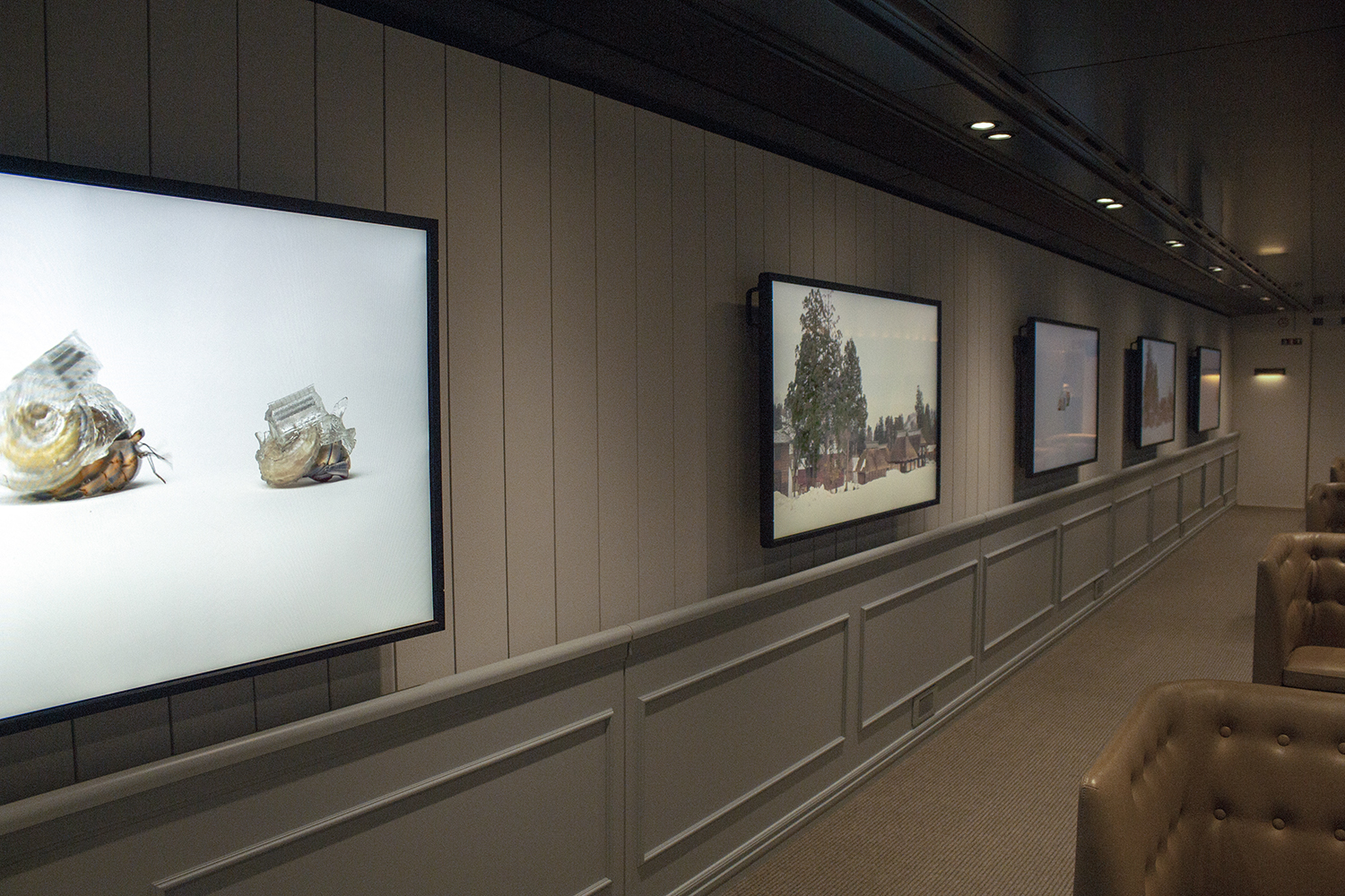 Installation view of“GENBI SHINKANSEN”