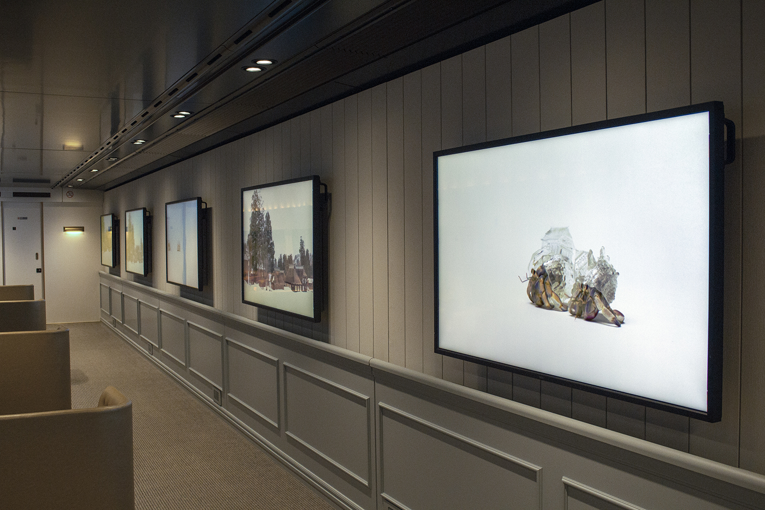 Installation view of“GENBI SHINKANSEN”