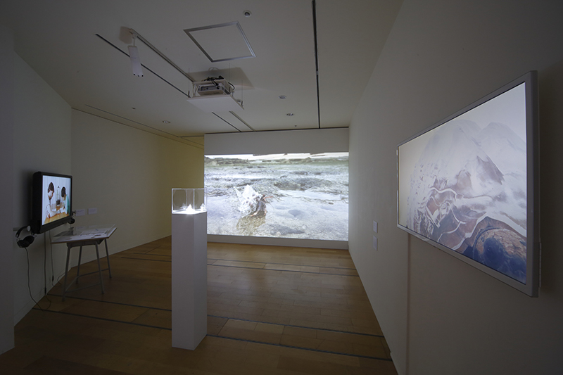 Installation view