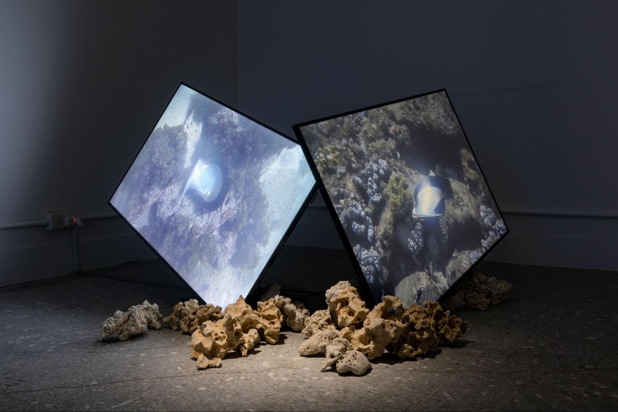 Installation view