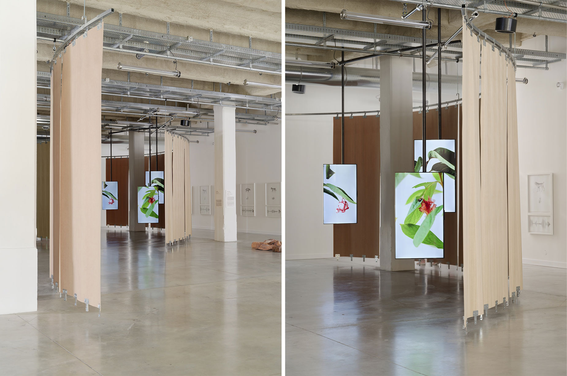 Installation view