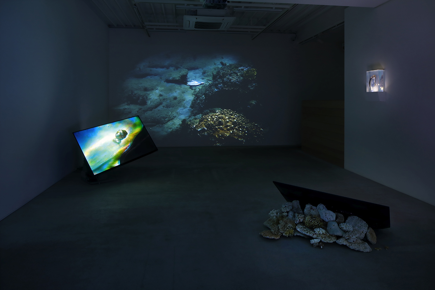 Installation view of Solo Exhibition “Memory of Currency”