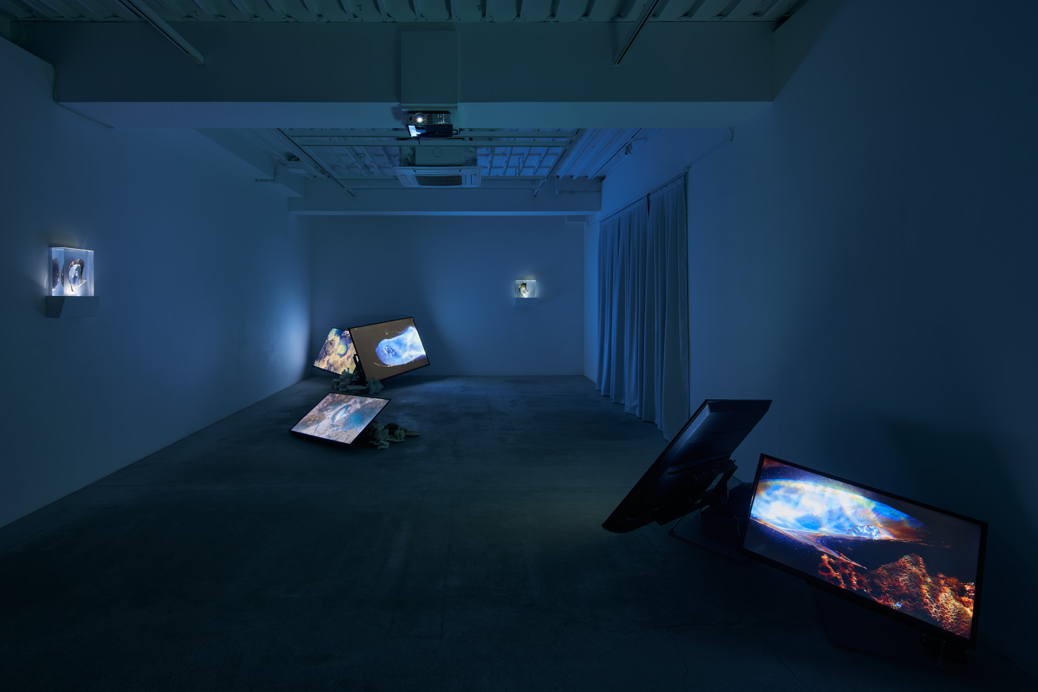 Installation view of Solo Exhibition “Memory of Currency”