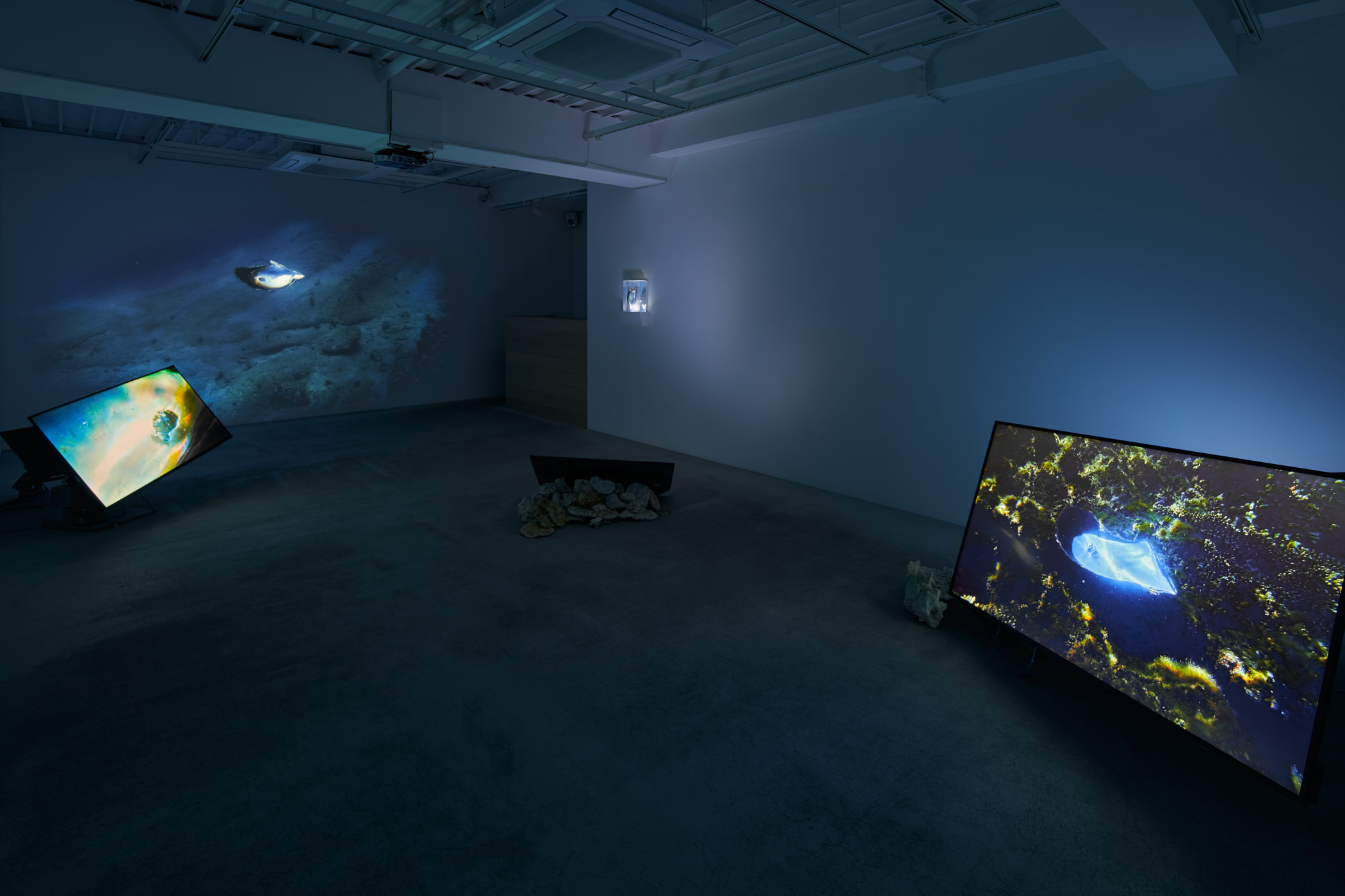 Installation view of Solo Exhibition “Memory of Currency”