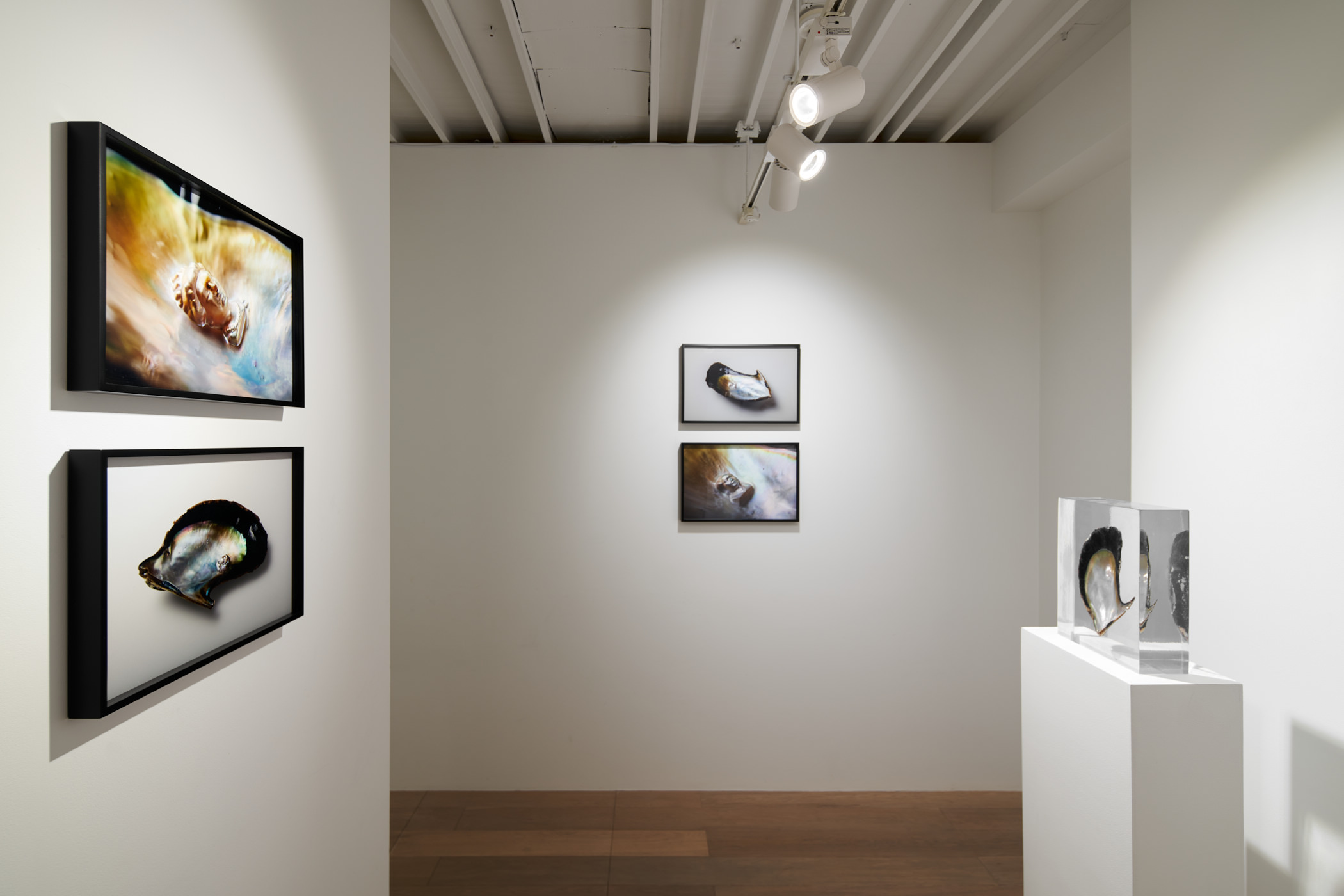 Installation view of Solo Exhibition “Memory of Currency”