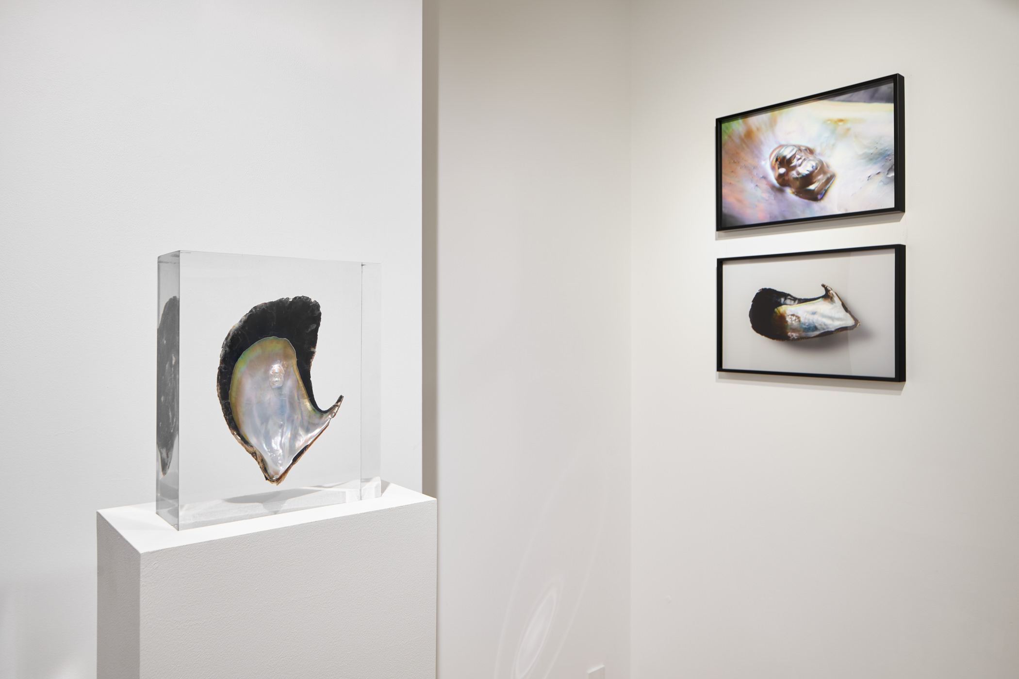 Installation view of Solo Exhibition “Memory of Currency”