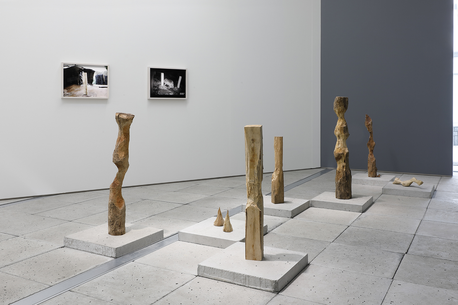 Installation view of “How to Carve a Sculpture”