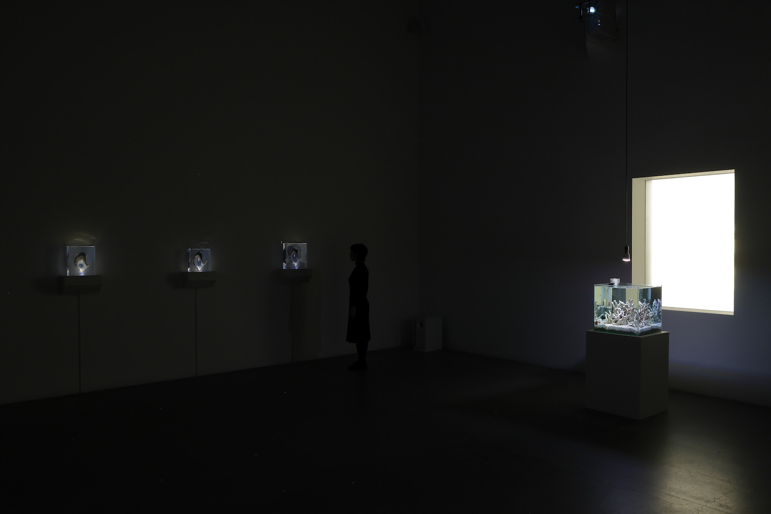 Installation view of “APERTO16 AKI INOMATA Acting Shells”