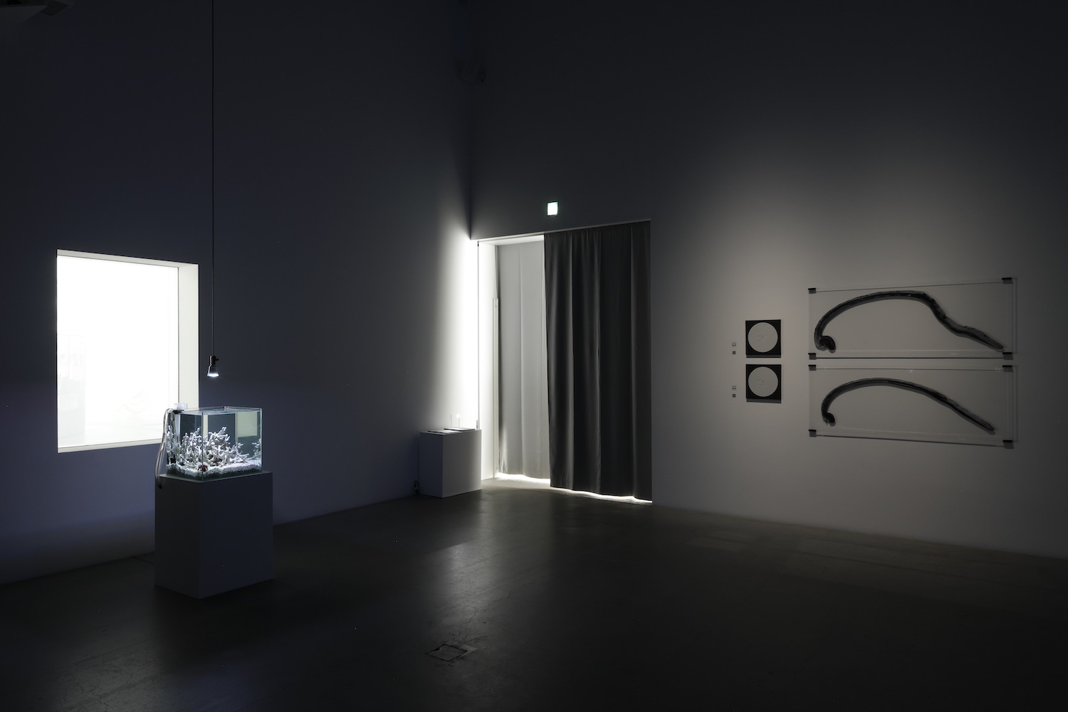 Installation view of “APERTO16 AKI INOMATA Acting Shells”