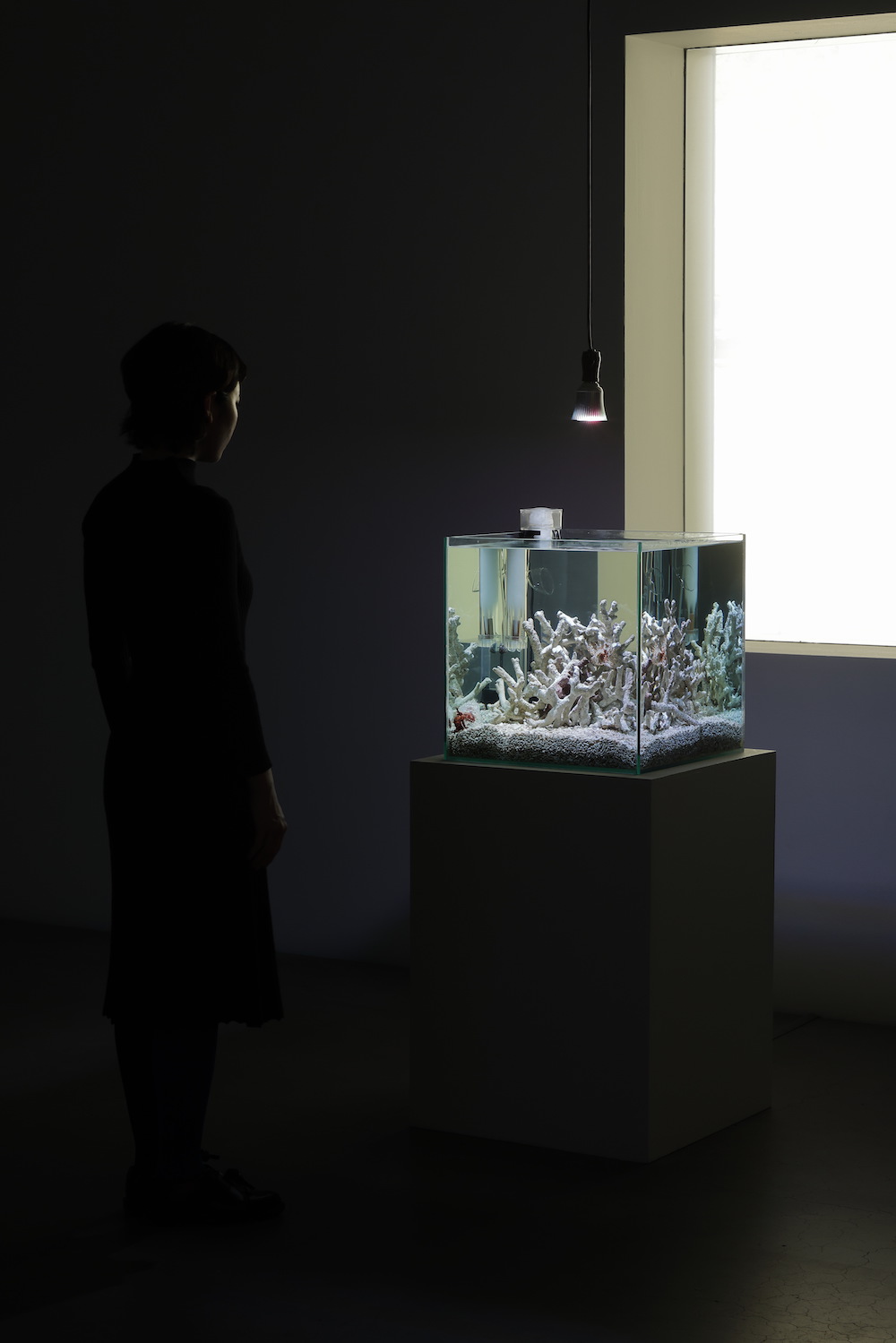 Installation view of “APERTO16 AKI INOMATA Acting Shells”