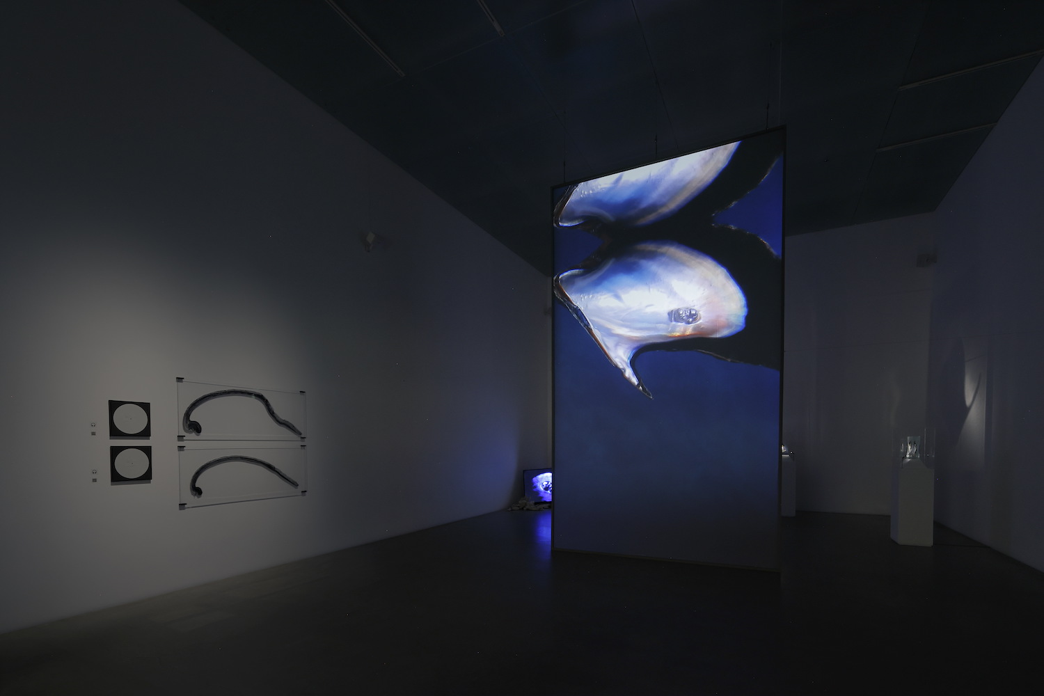 Installation view of “APERTO16 AKI INOMATA Acting Shells”