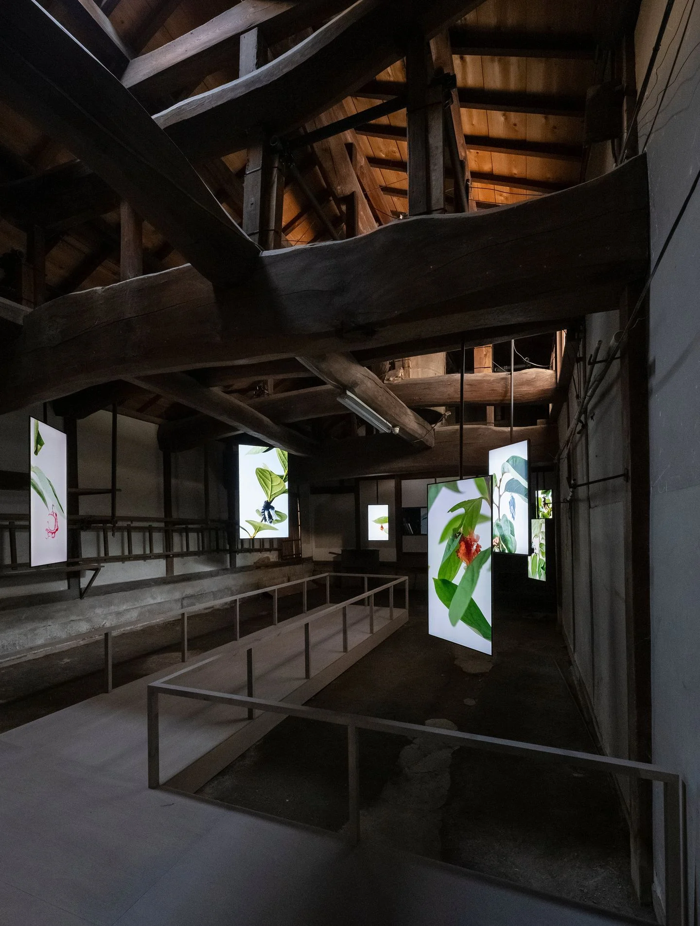 Installation view of “Aichi Triennale 2022”