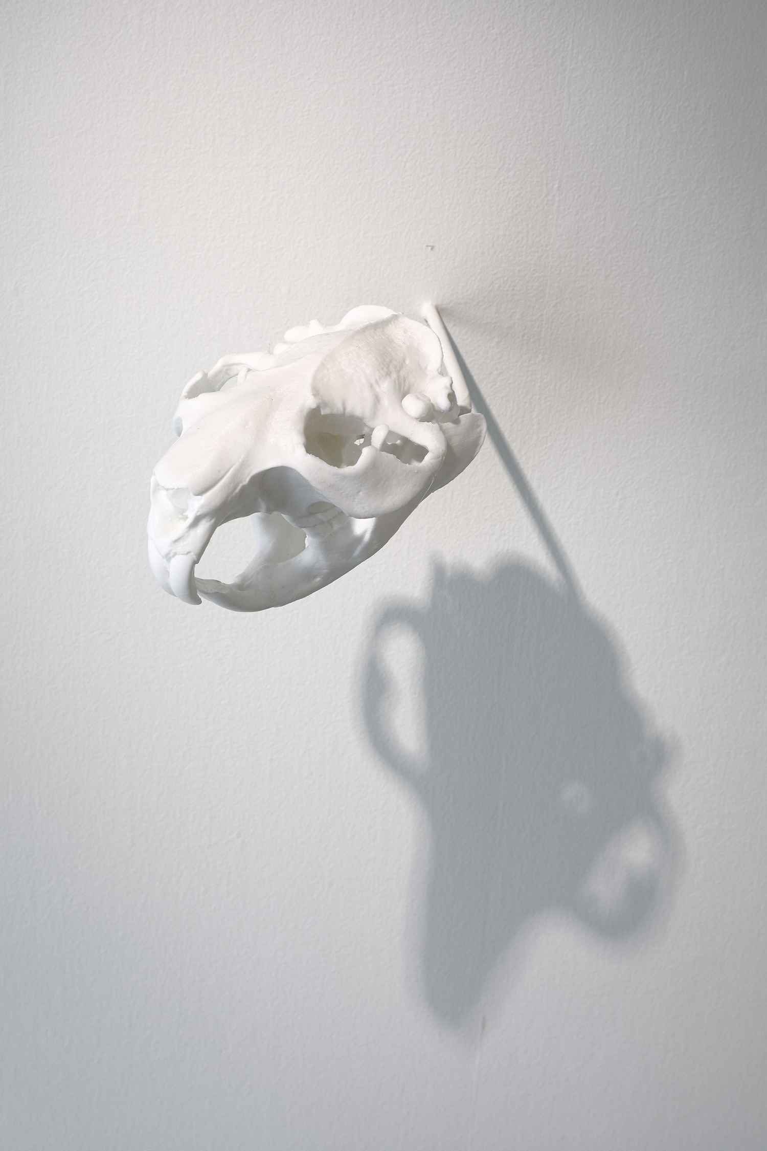 Installation view of the Exhibition “Roppongi Crossing 2022: Coming & Going””