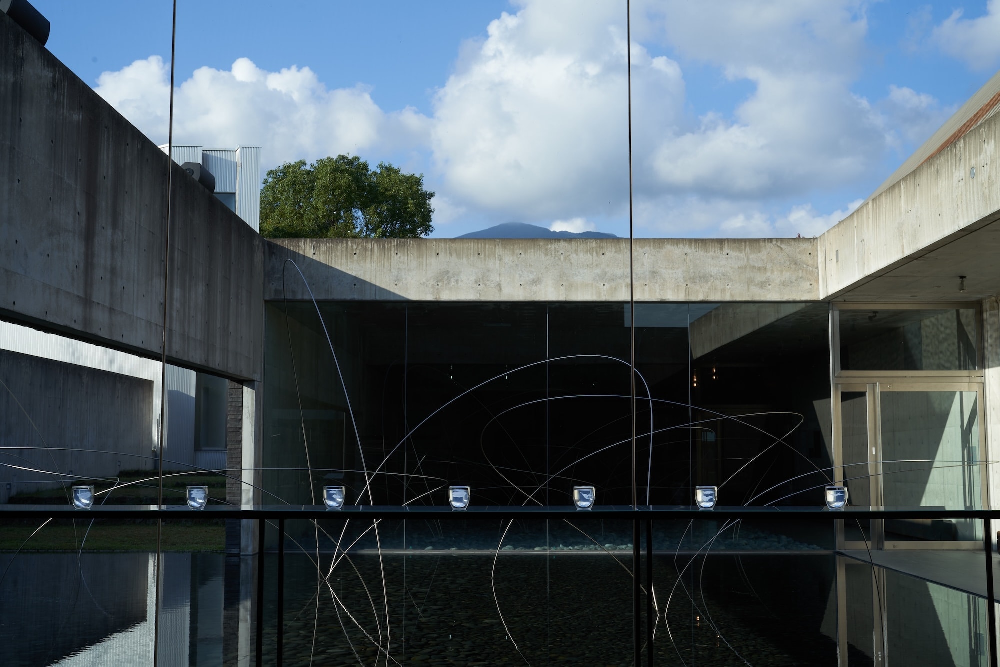 Installation view of “Forest Festival of the Arts Okayama 2024”