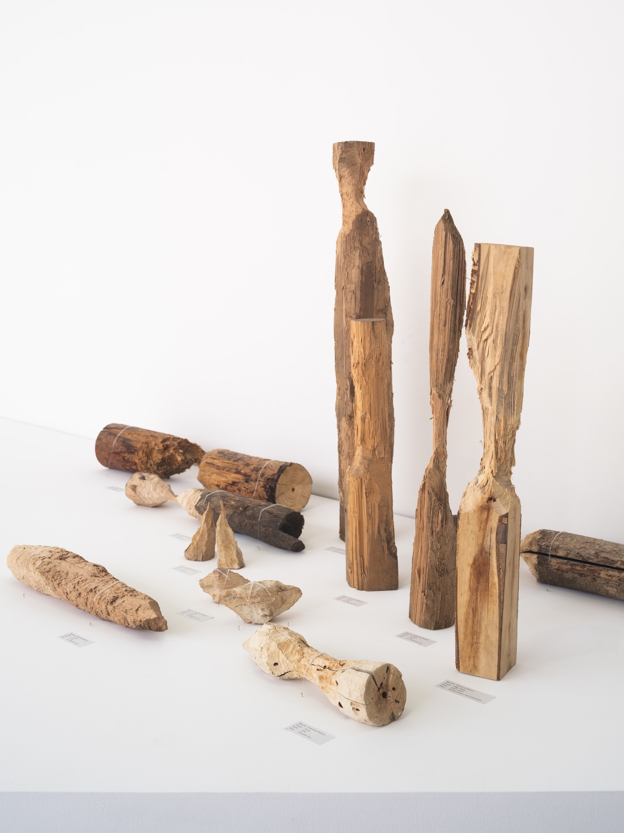 photo: Kenji Morita  courtesy: 21st Century Museum of Contemporary Art, Kanazawa