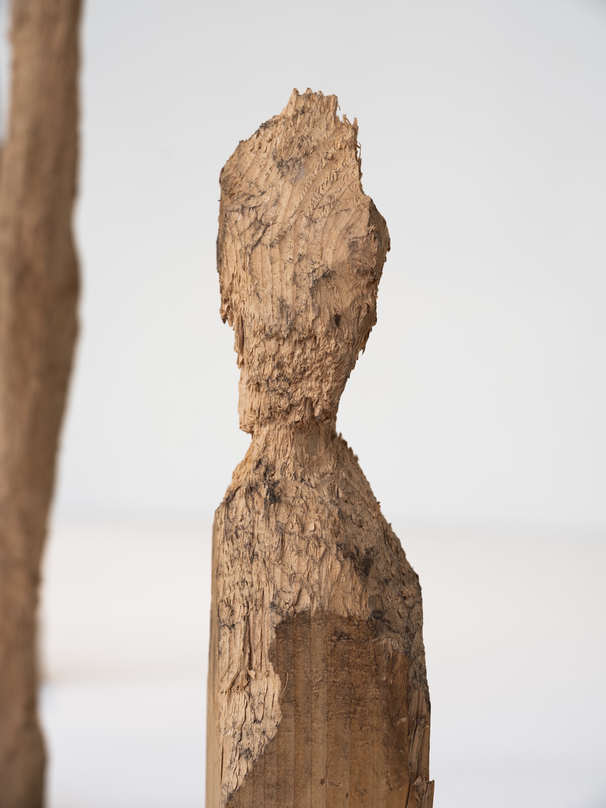 photo: Kenji Morita  courtesy: 21st Century Museum of Contemporary Art, Kanazawa