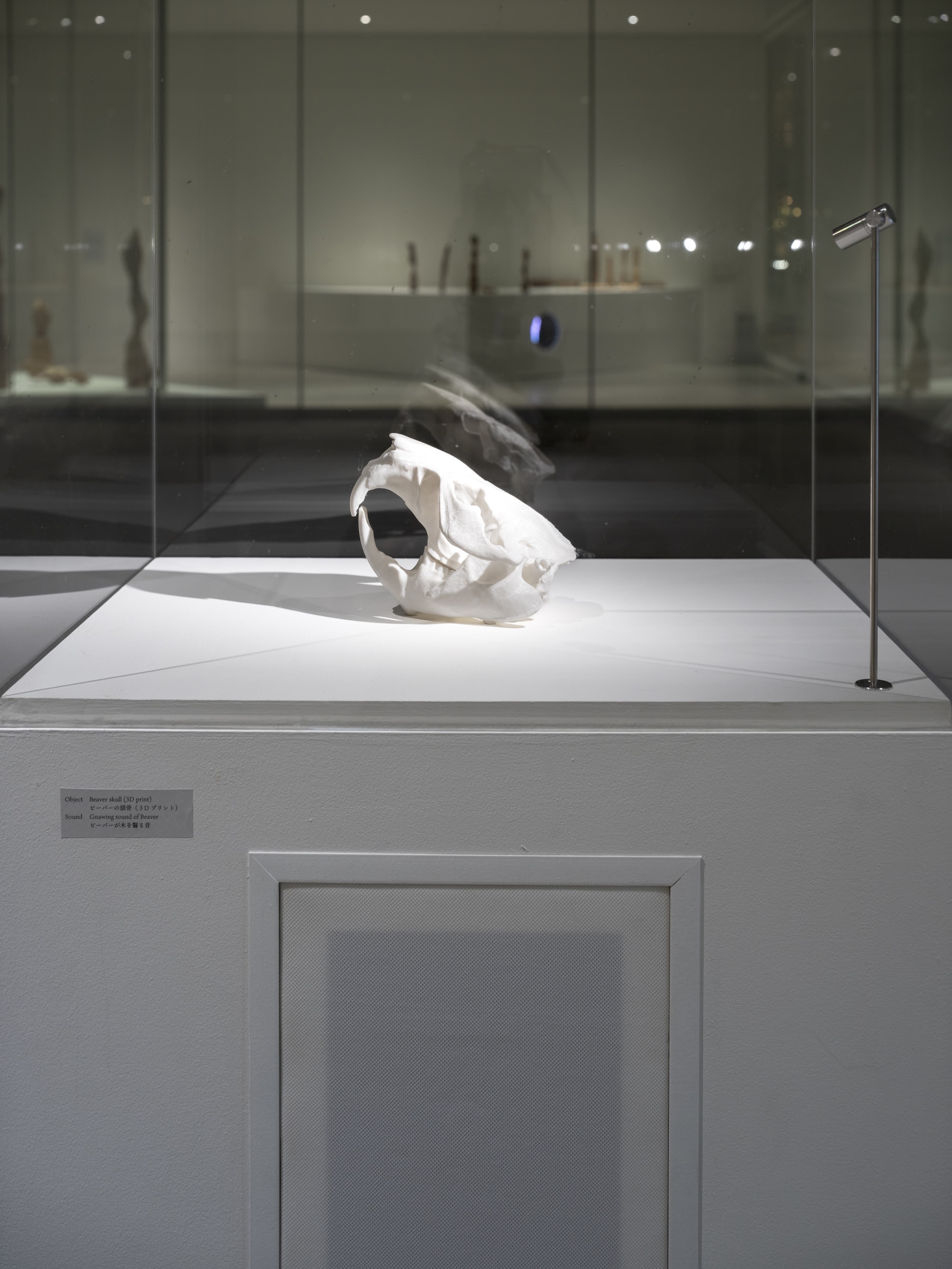 photo: Kenji Morita  courtesy: 21st Century Museum of Contemporary Art, Kanazawa