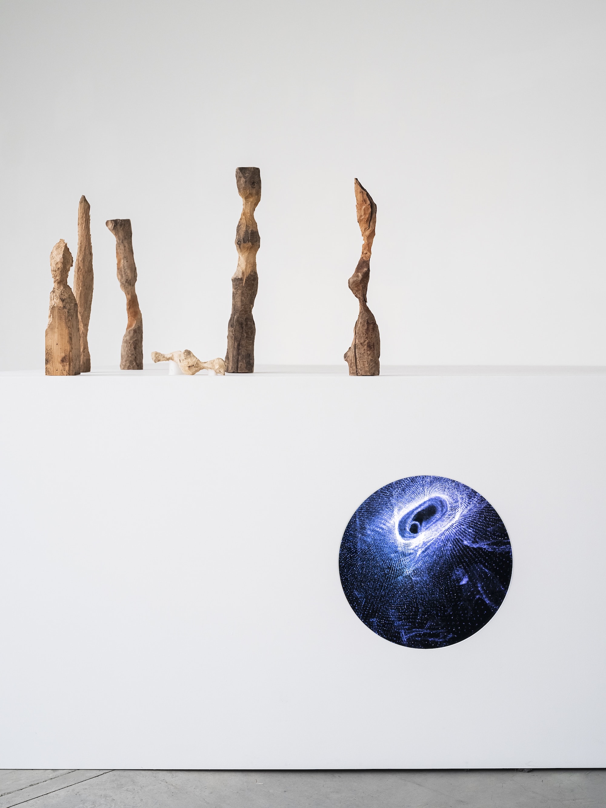 photo: Kenji Morita  courtesy: 21st Century Museum of Contemporary Art, Kanazawa