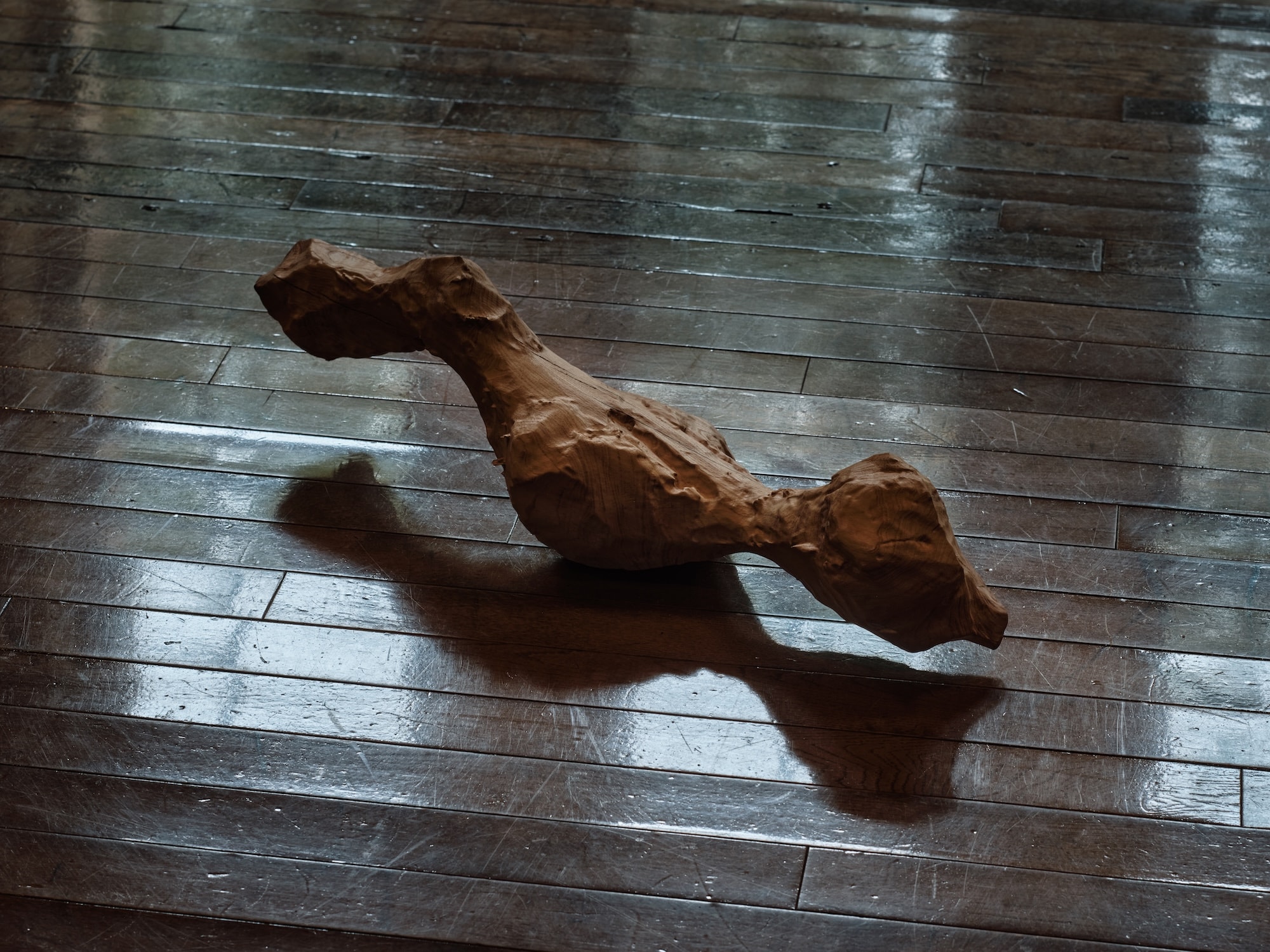 Exhibition view of ”Jiyu gakuen Myonichikan ,2025”