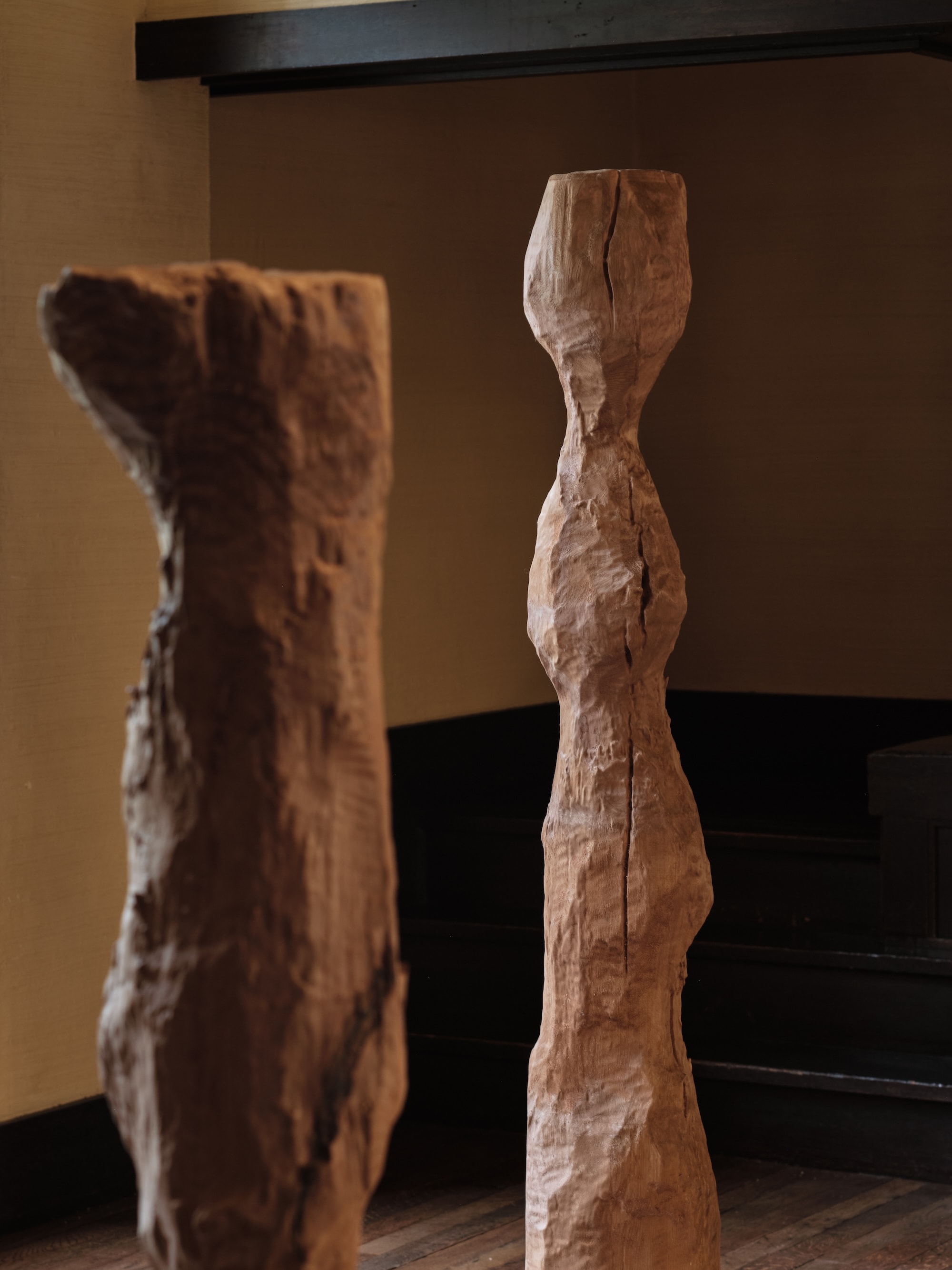 Exhibition view of ”Jiyu gakuen Myonichikan ,2025”