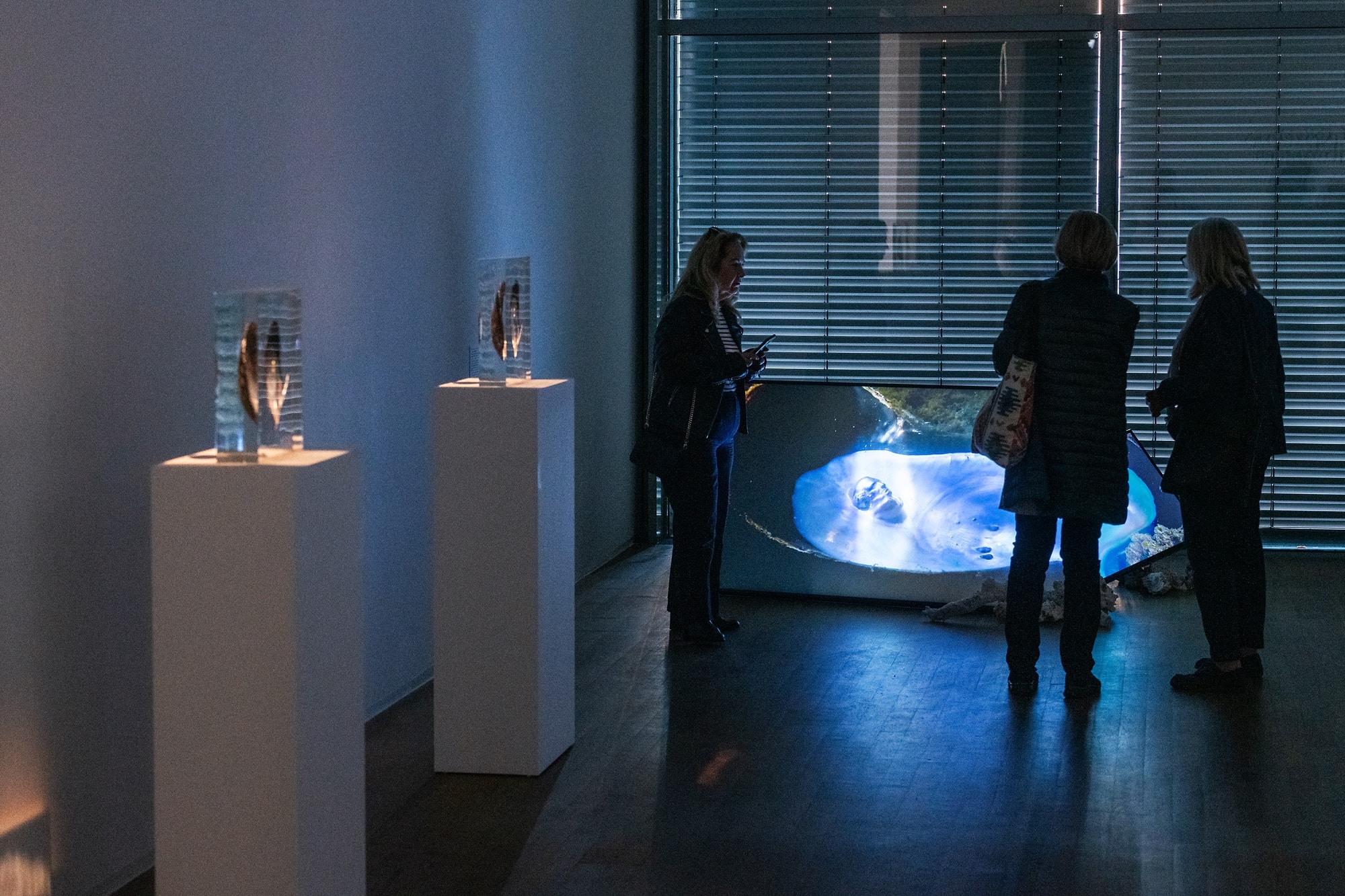 Installation view of ”Kunstmuseum Bonn, 2026”