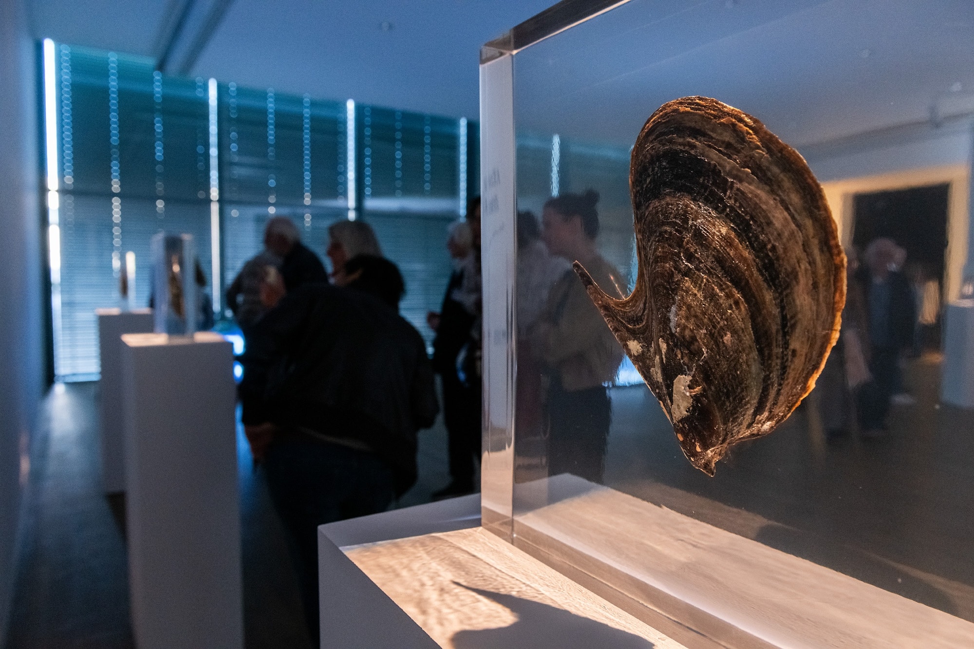 Installation view of ”Kunstmuseum Bonn, 2026”