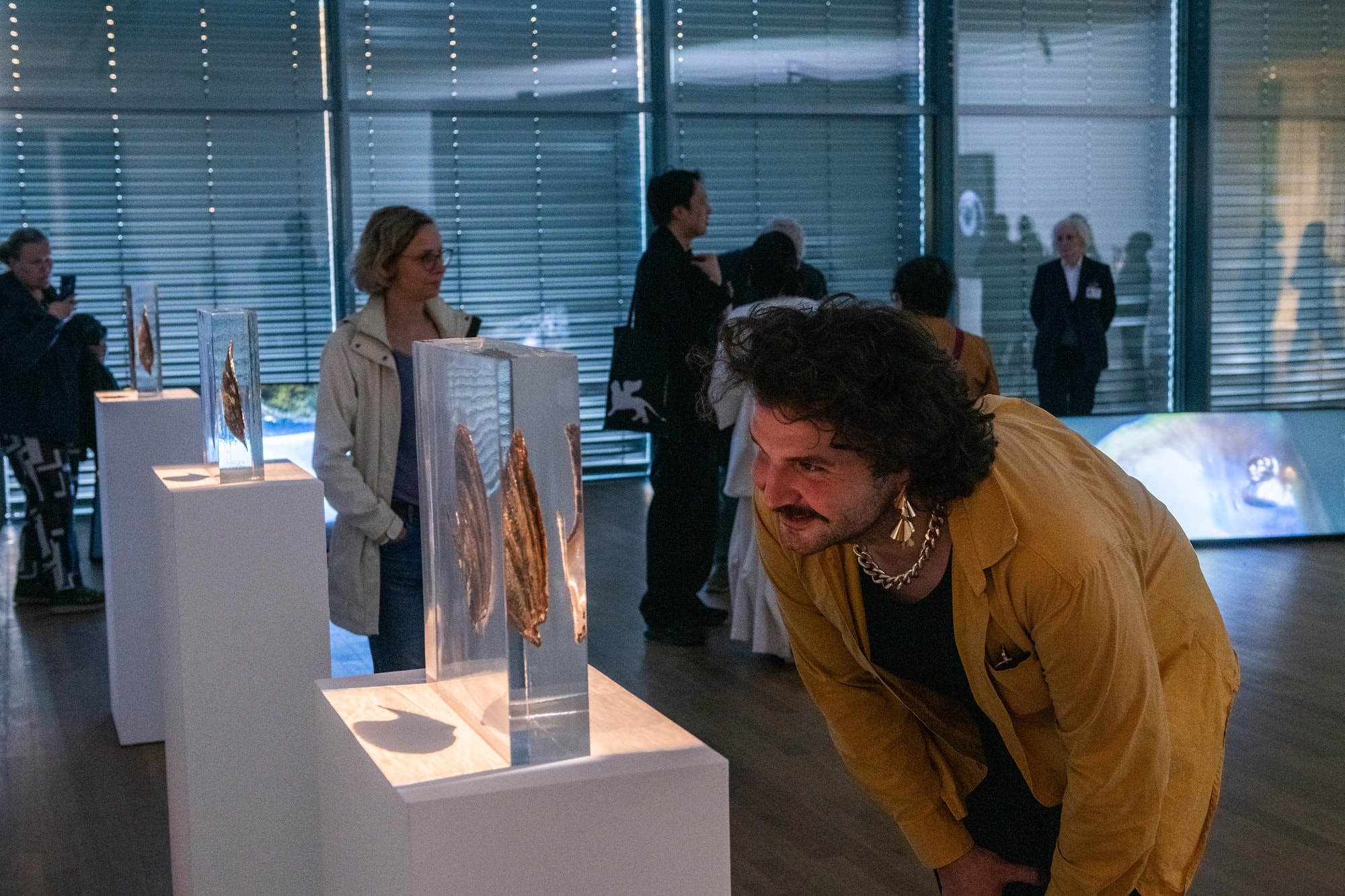 Installation view of ”Kunstmuseum Bonn, 2026”
