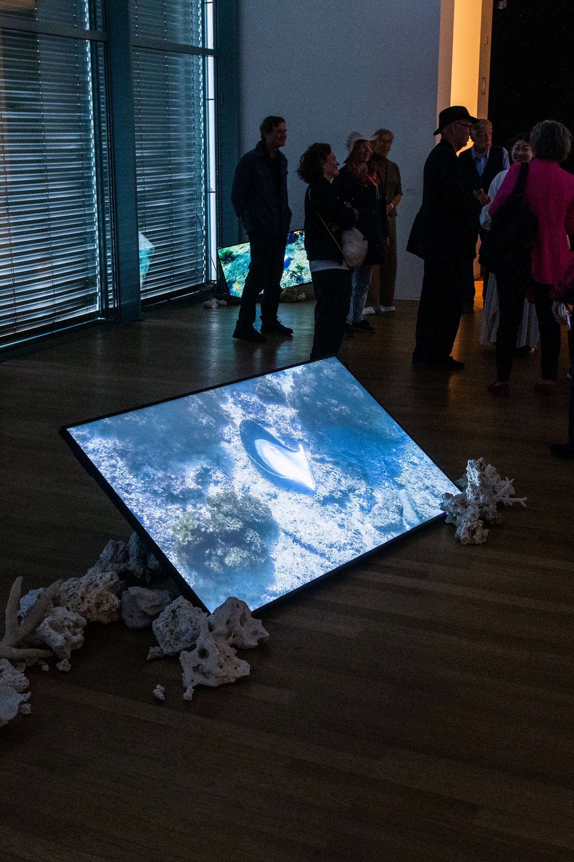 Installation view of ”Kunstmuseum Bonn, 2026”
