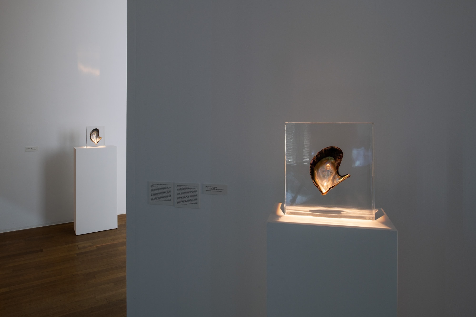 Installation view of ”Kunstmuseum Bonn, 2026”