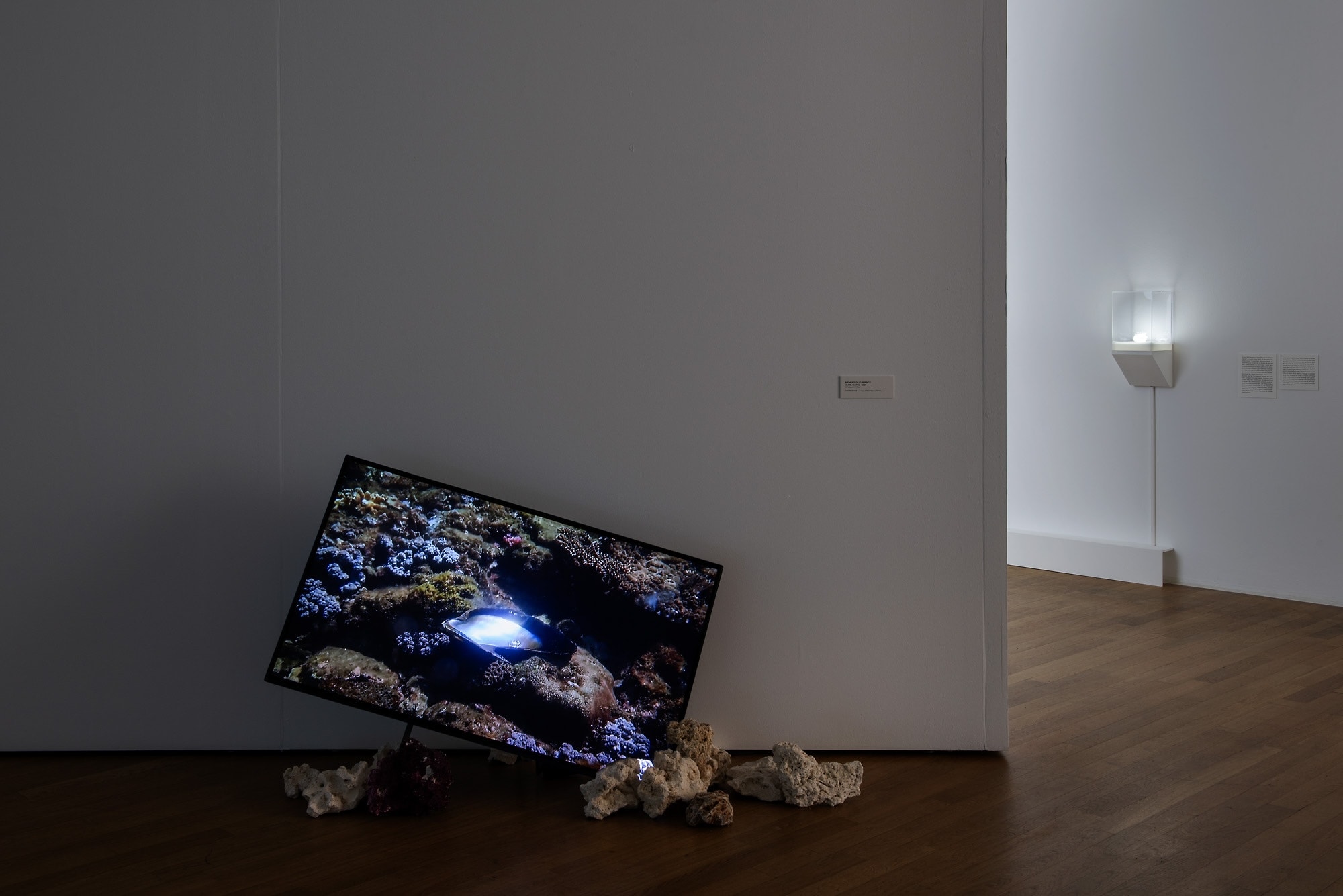 Installation view of ”Kunstmuseum Bonn, 2026”