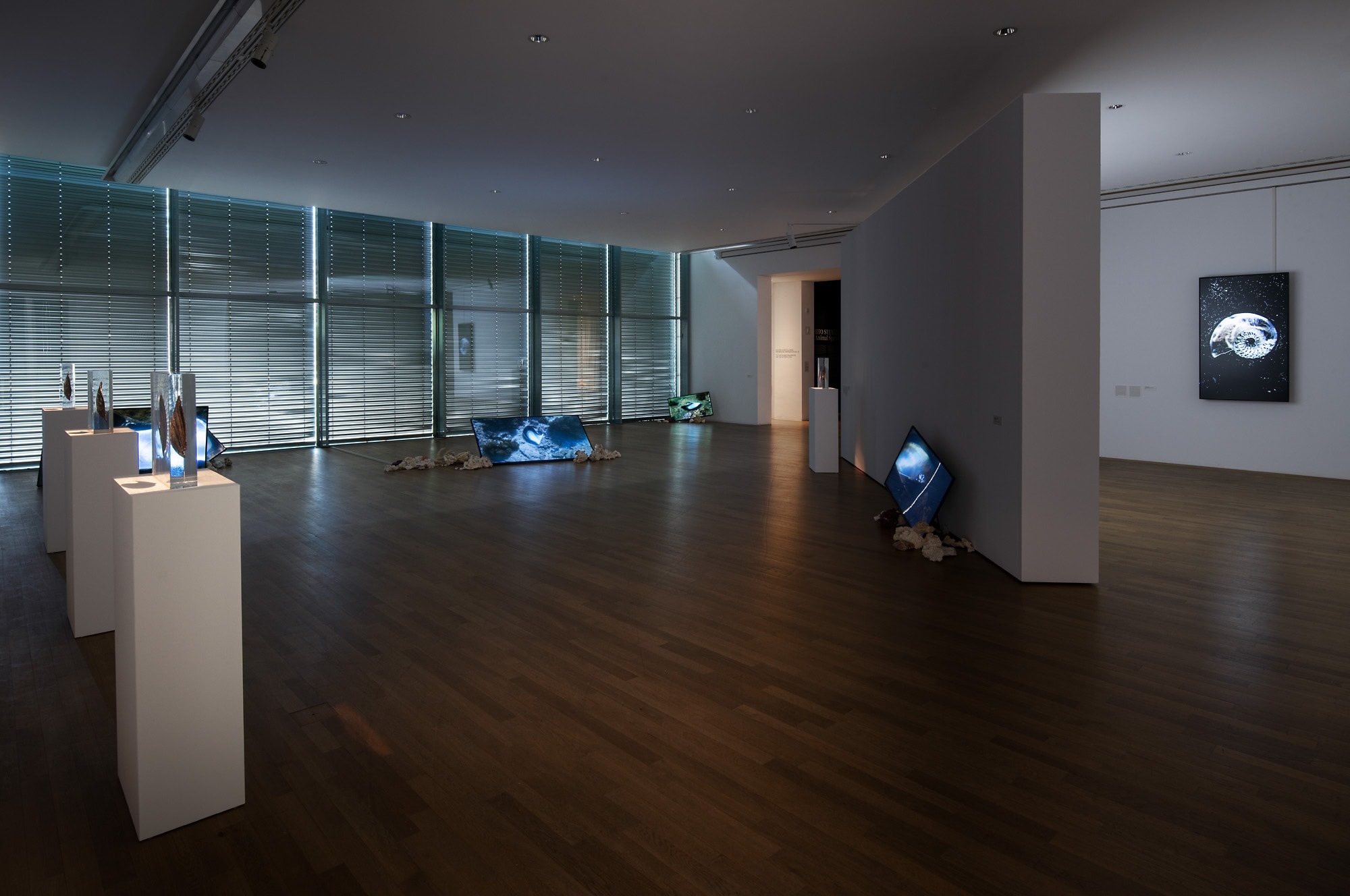 Installation view of ”Kunstmuseum Bonn, 2026”