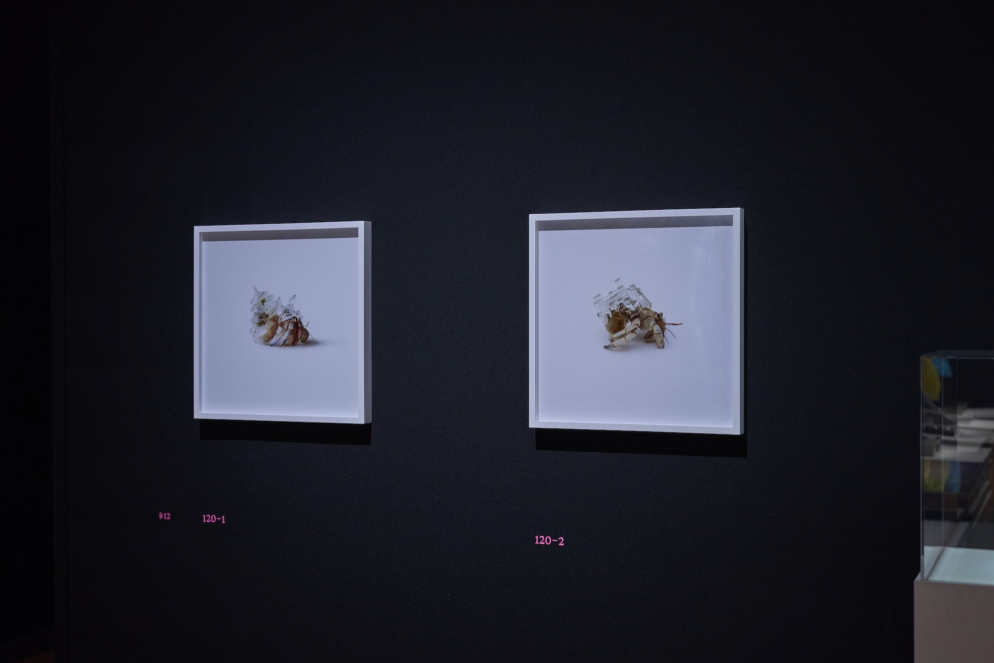 Installation view of ”Love Fashion: In Search of Myself, 2024 - 2025”