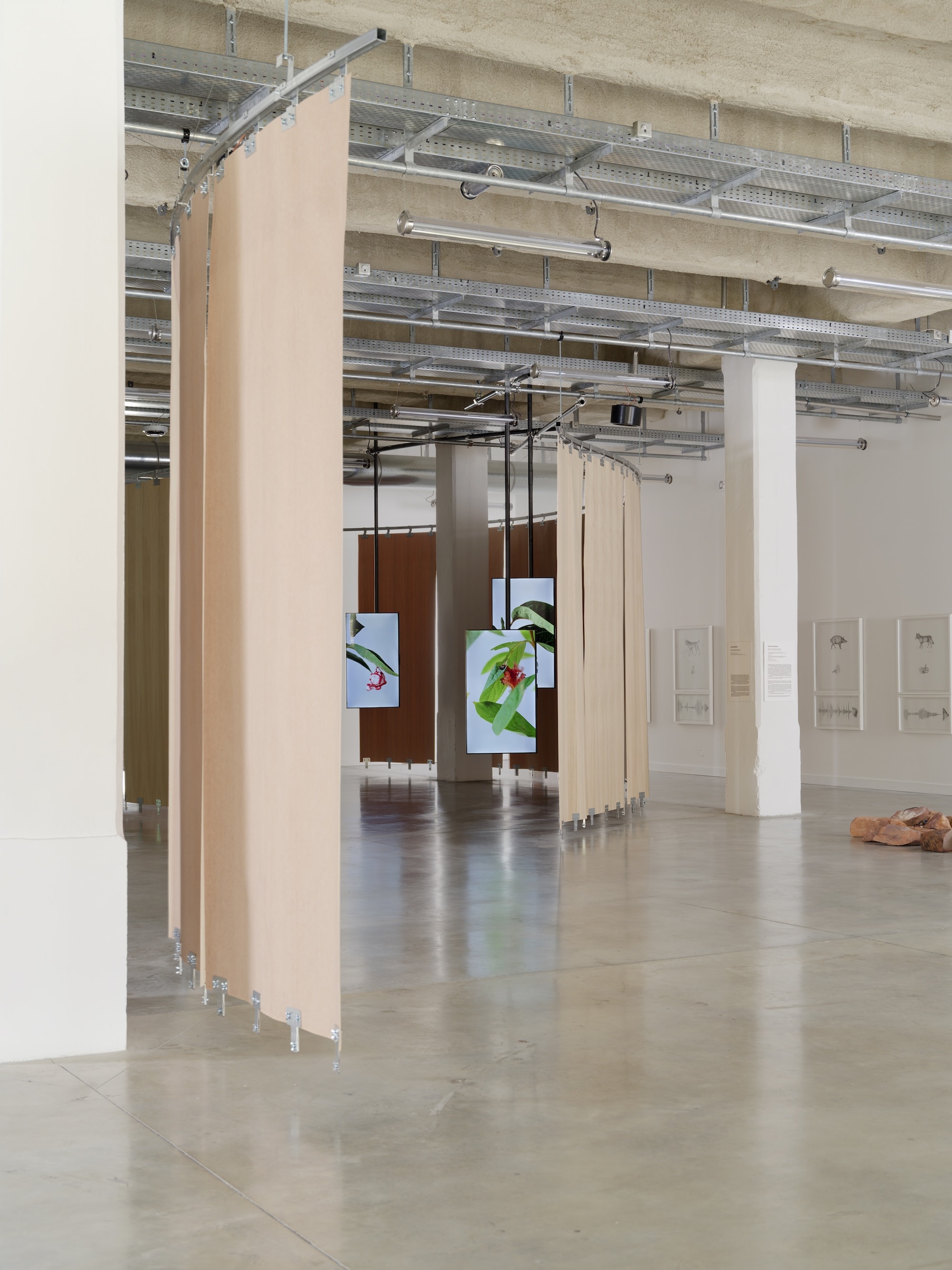 Installation view of ”The Monkey and the Clay”