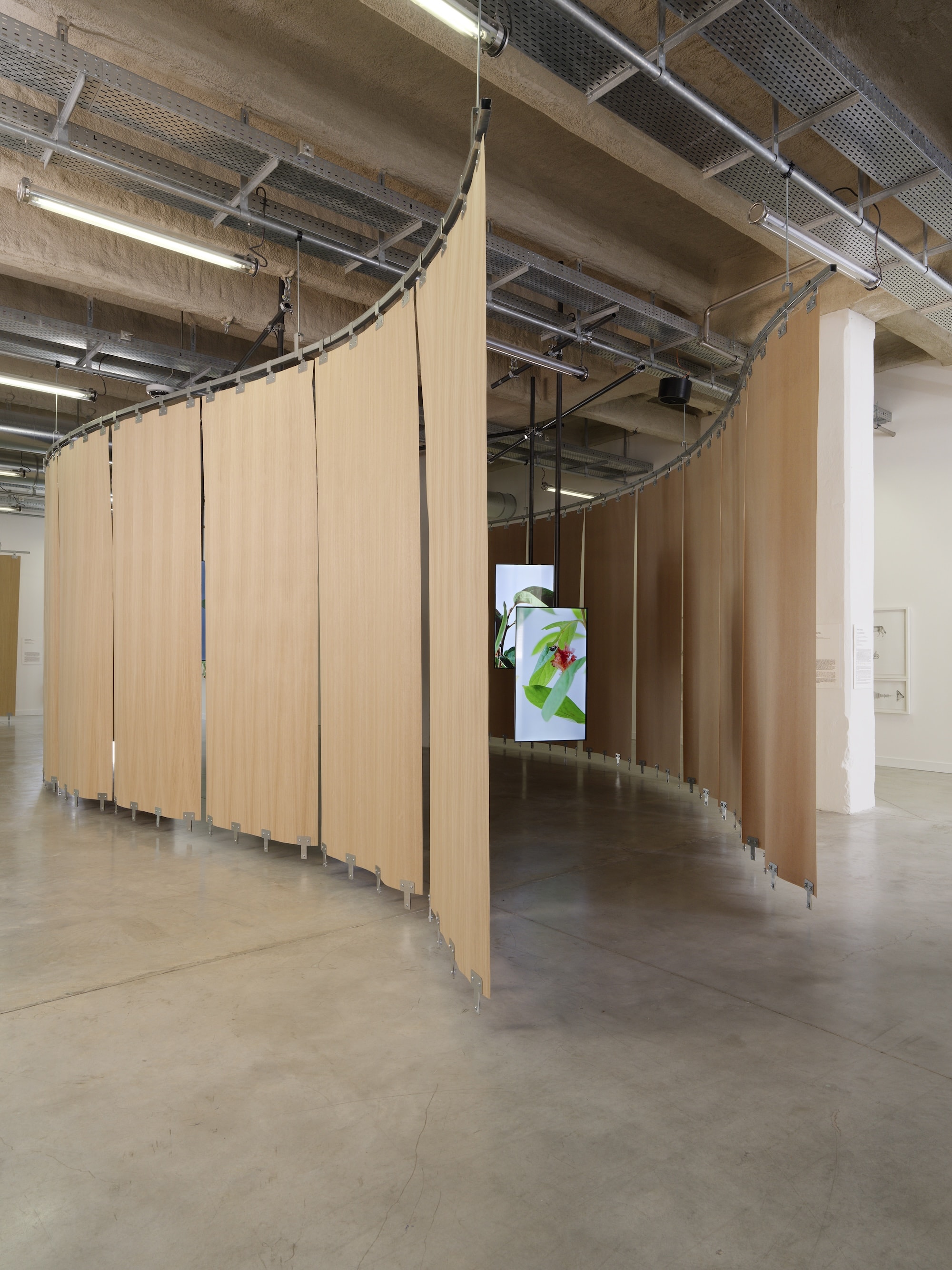 Installation view of ”The Monkey and the Clay”