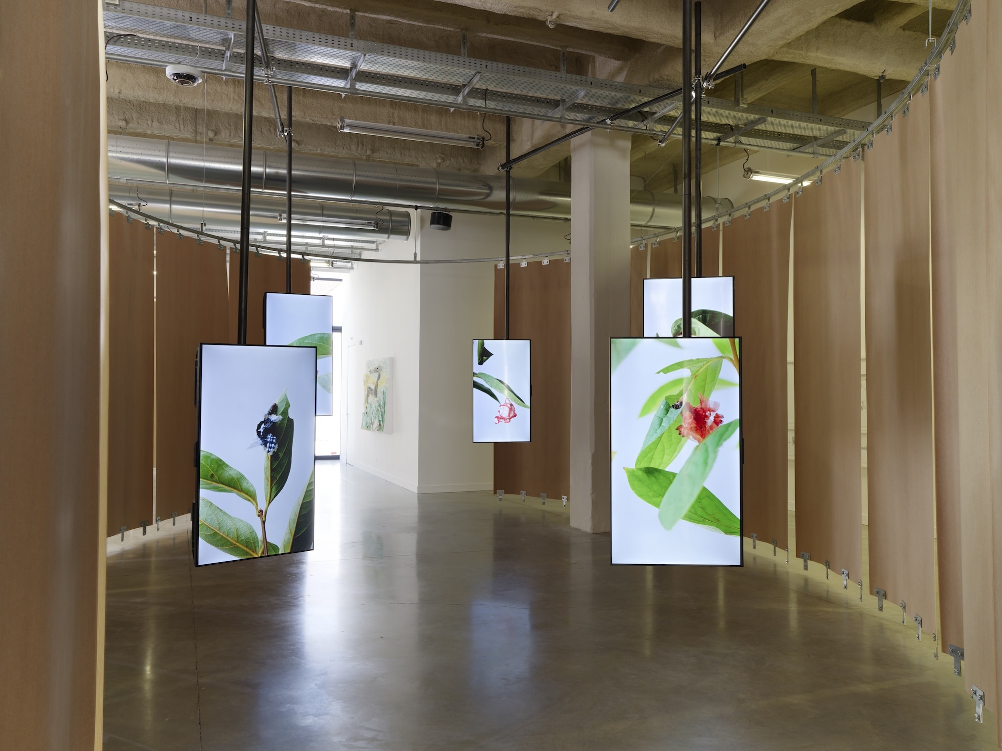 Installation view of ”The Monkey and the Clay”