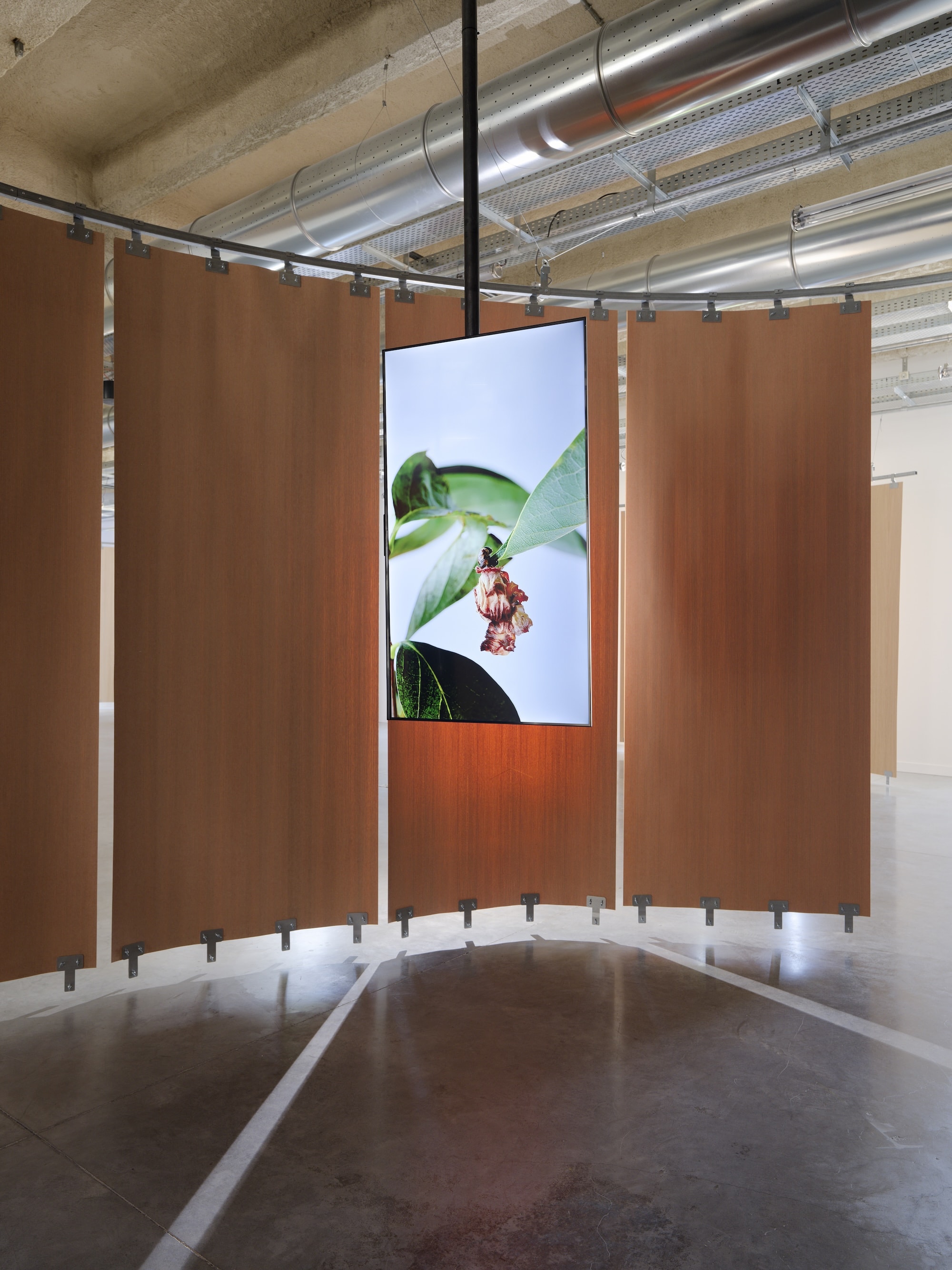 Installation view of ”The Monkey and the Clay”