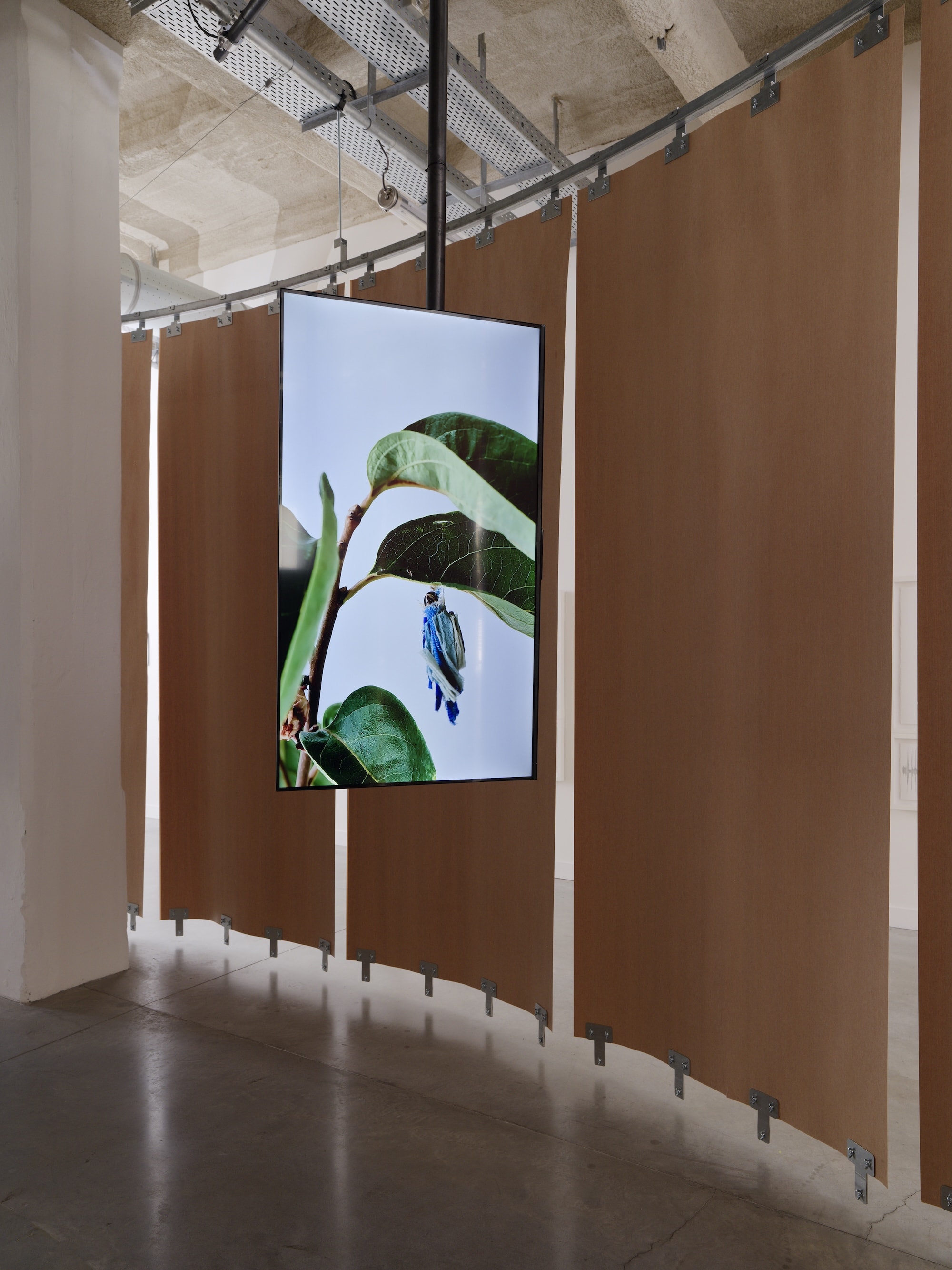 Installation view of ”The Monkey and the Clay”