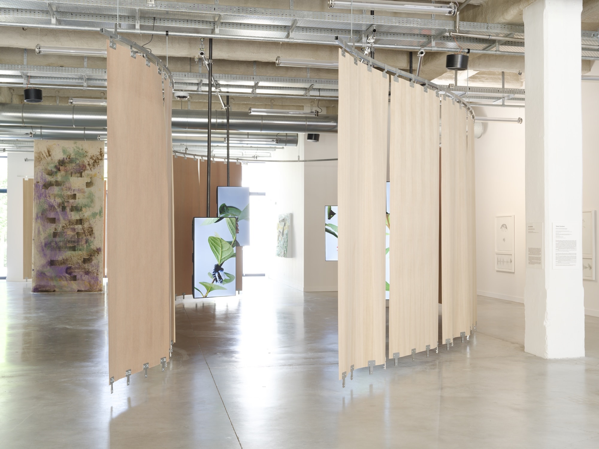 Installation view of ”The Monkey and the Clay”