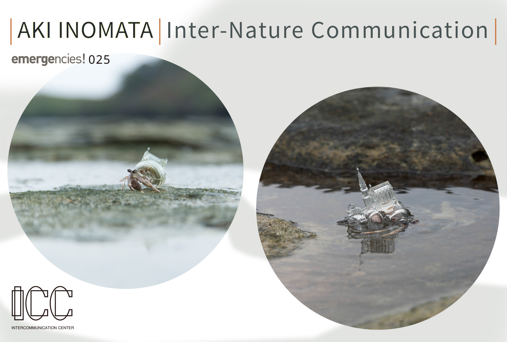 Exhibition: エマージェンシーズ！ 025 AKI INOMATA / Inter-Nature Communication