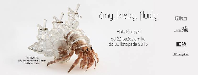 Exhibition: “Moths, crabs and vibrations” Griffin Art Space, Warsaw