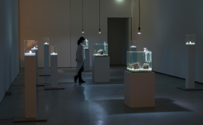 Exhibition: “Aki Inomata, Why Not Hand Over a “Shelter” to Hermit Crabs?” at Mesee d'arts de Nantes