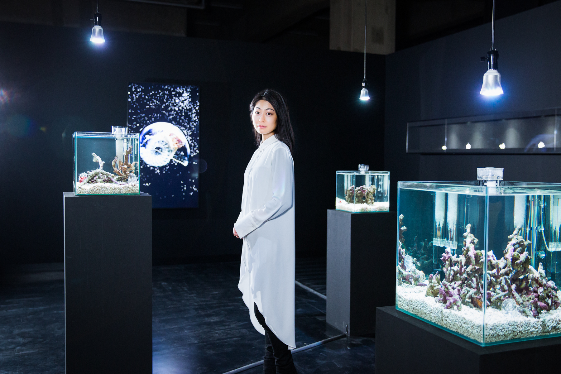 Article: web「plart story」掲載  ”私”で完結しないアートを生物と協働でつくる 【アーティスト AKI INOMATA】