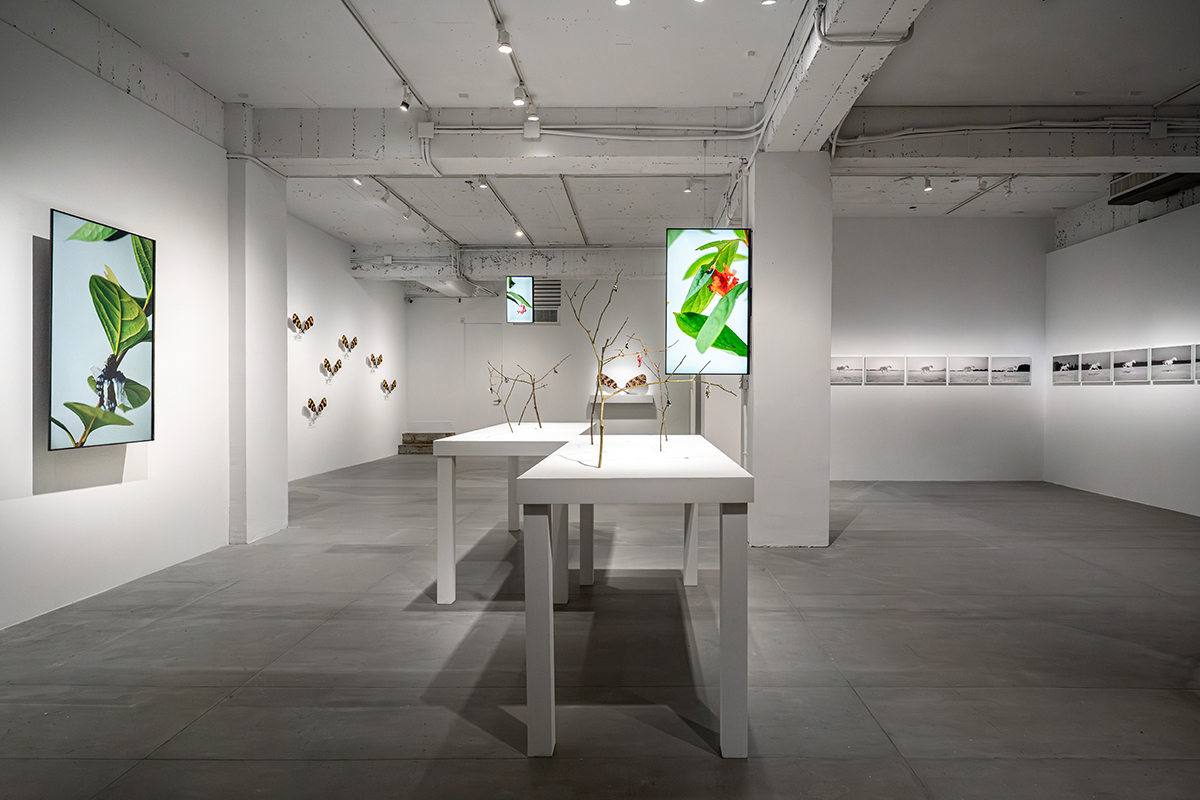 News: Life at the Threshold