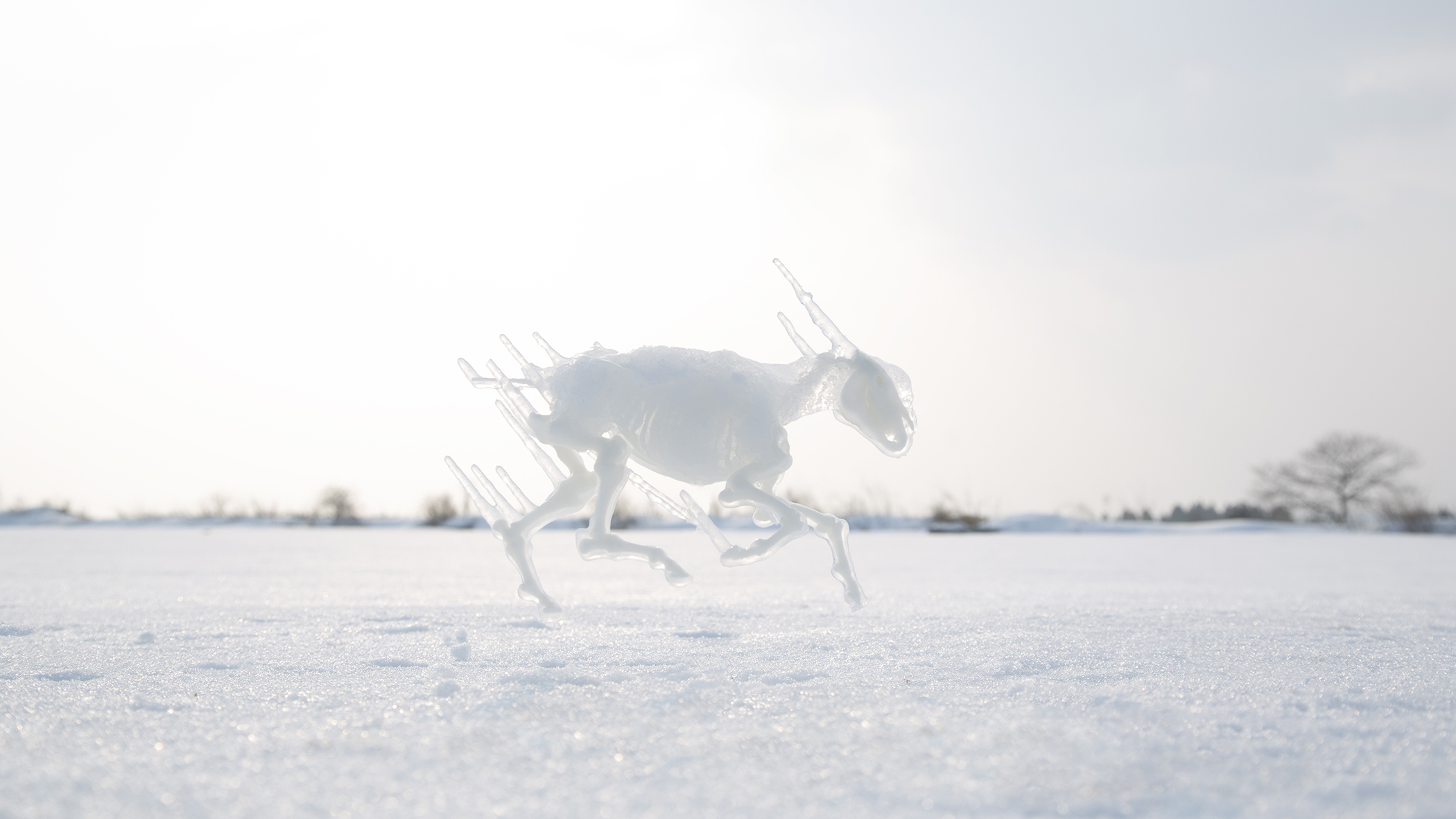 Galloping Nambu breed horse