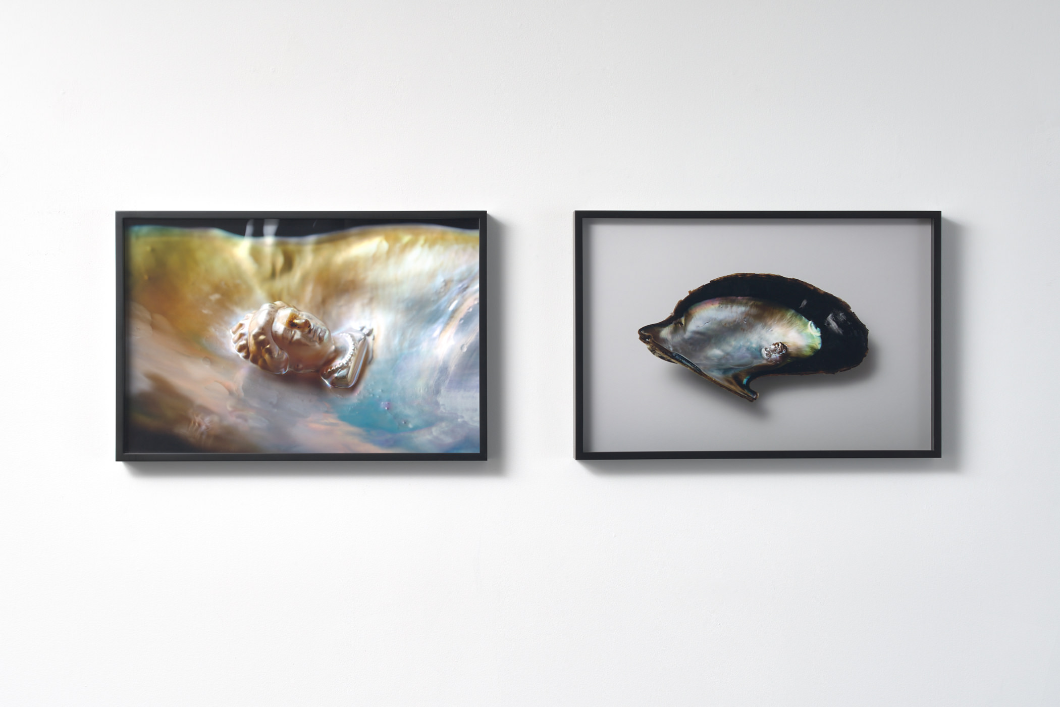 Installation view of Solo Exhibition “Memory of Currency”