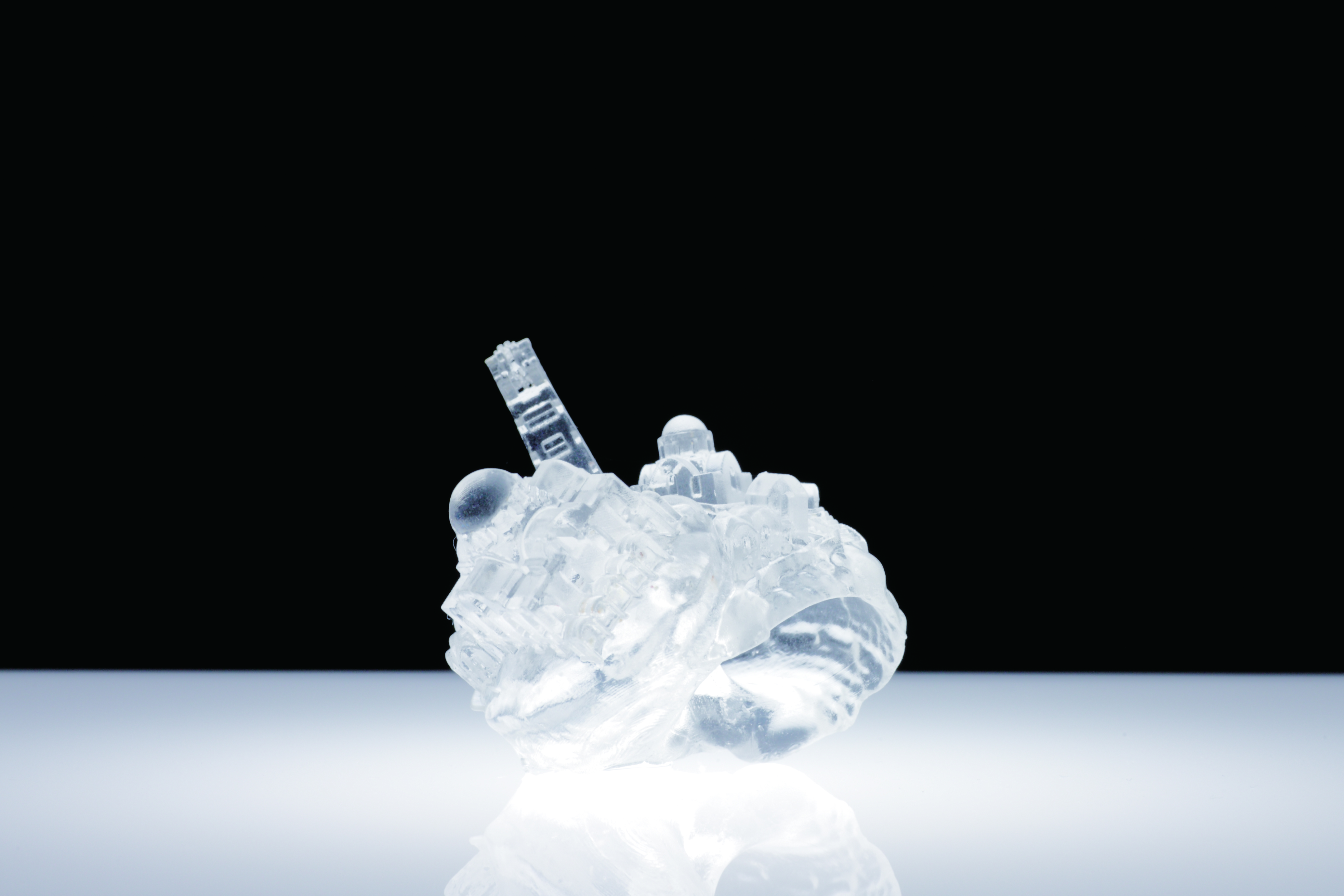 Why Not Hand Over a “Shelter” to Hermit Crabs? -Border-