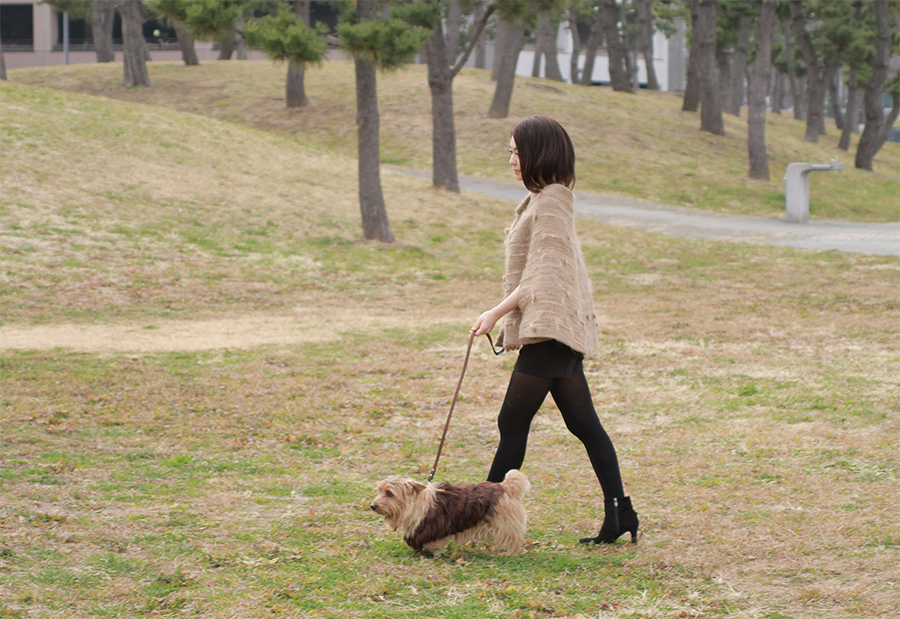 I Wear the Dog's Hair, and the Dog Wears My Hair