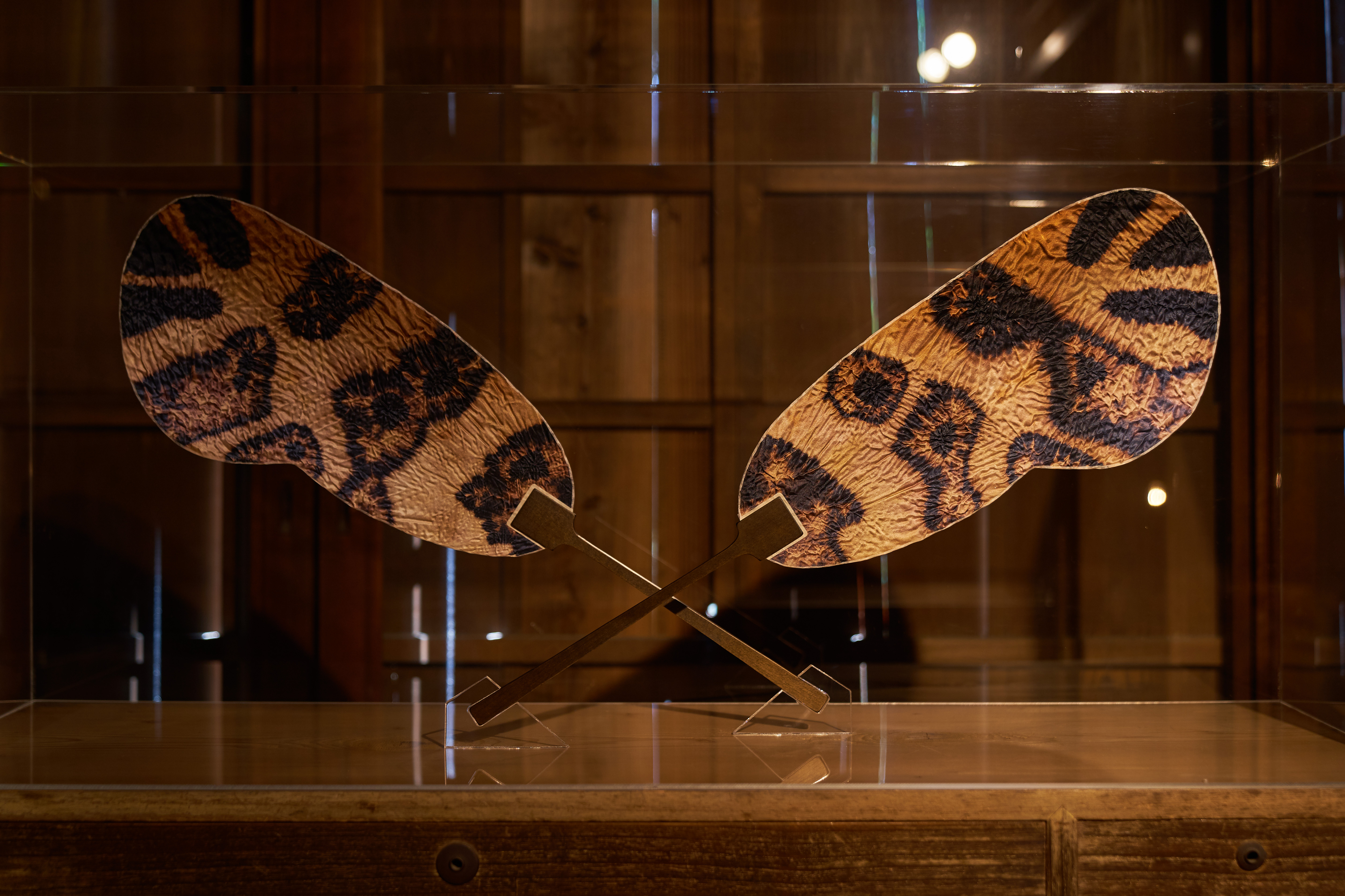 Shibori round fan with wing pattern of the bagworm moth